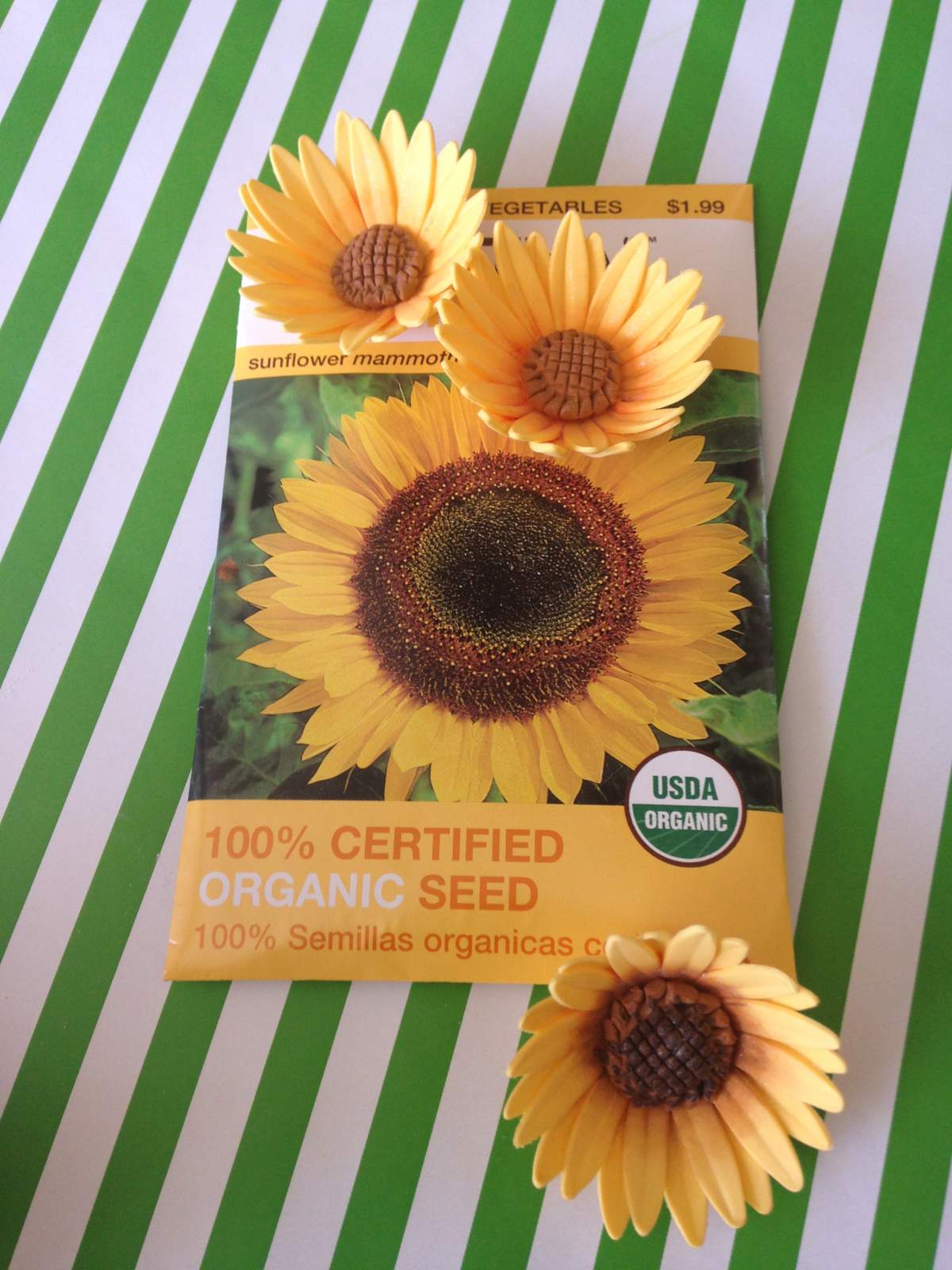 Sunflower Garden - None