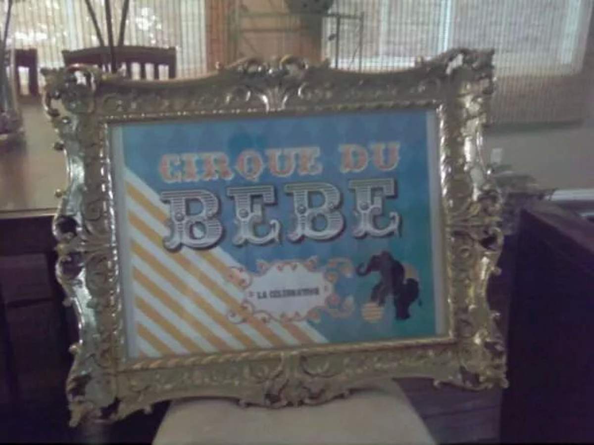 Cirque du Bebé - French Circus