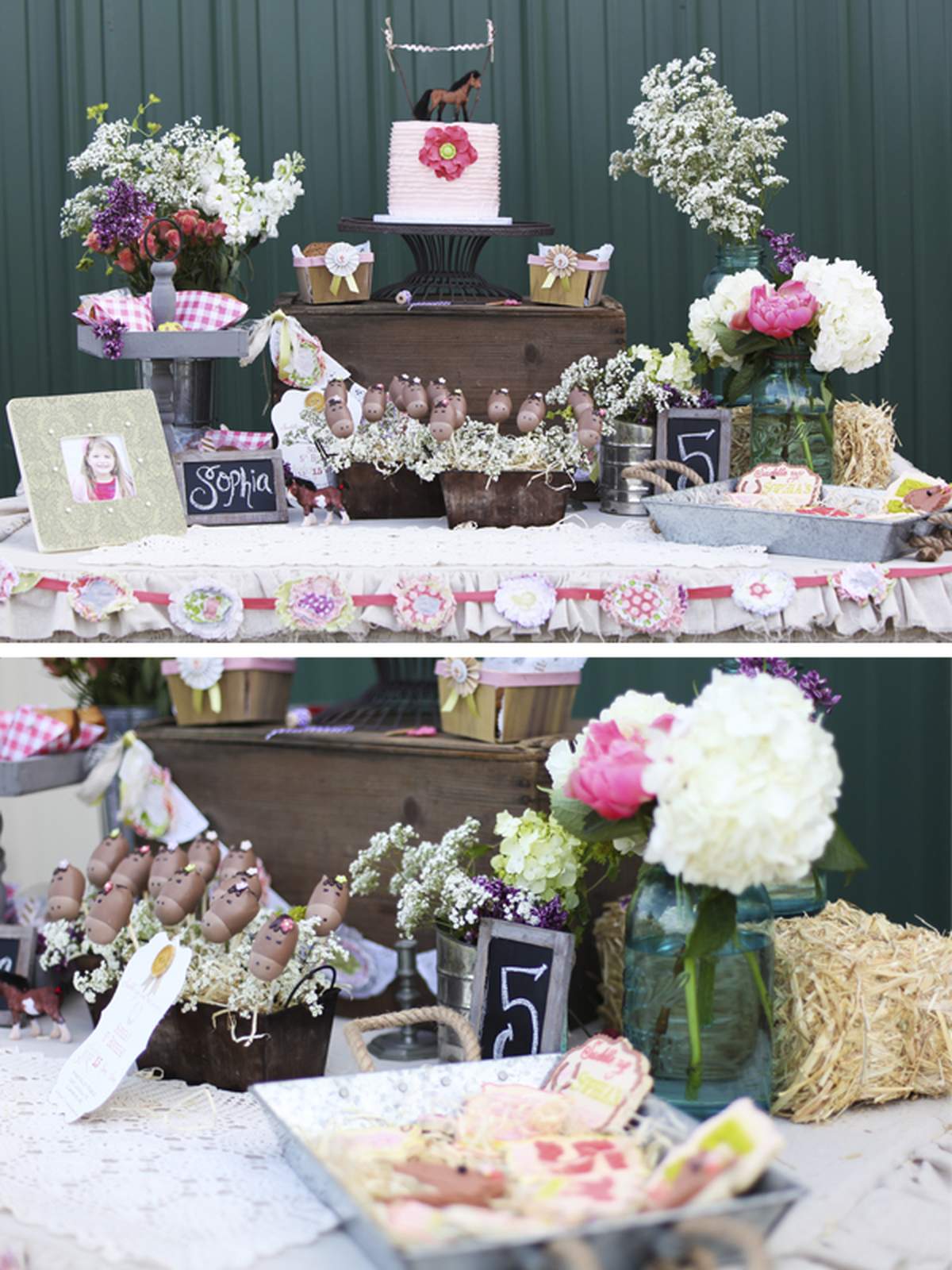 Ruffled Vintage Pony Party - Pony Party