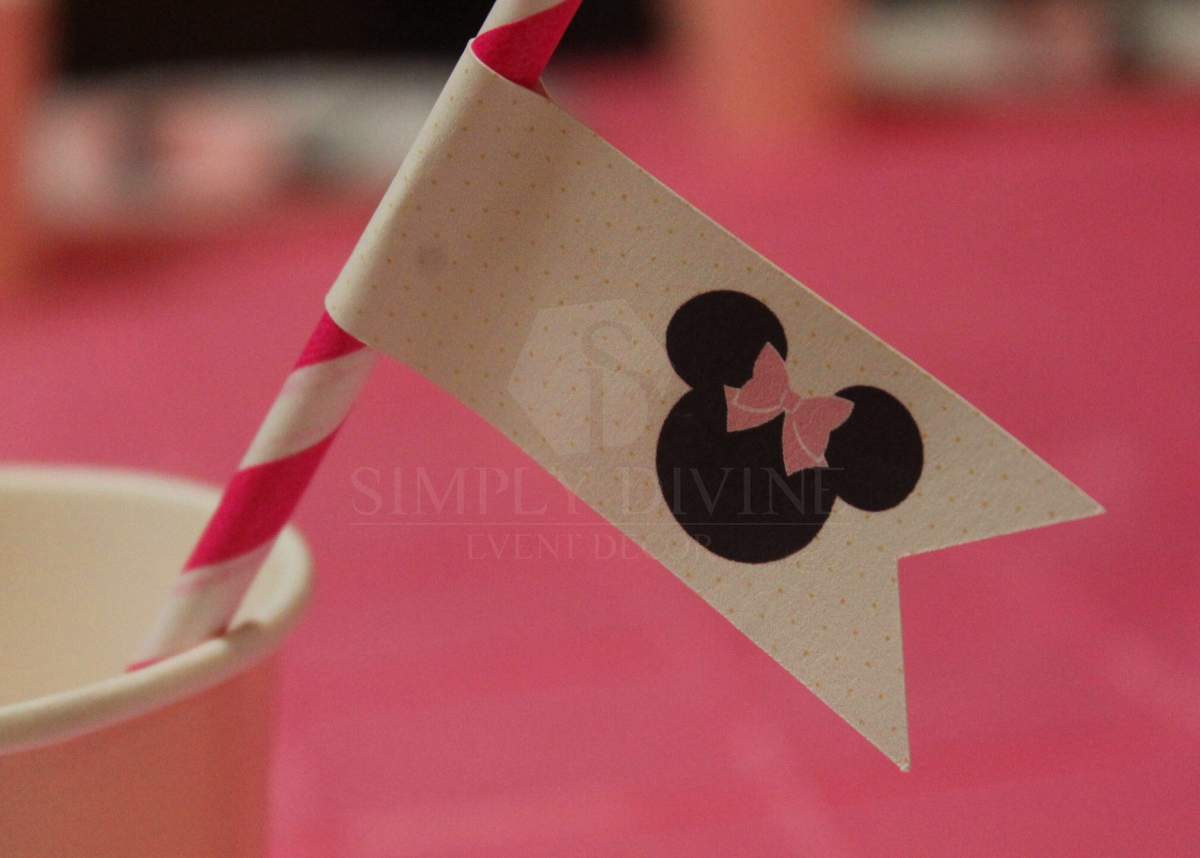 Minnie Mouse Birthday Party   - Minnie Mouse