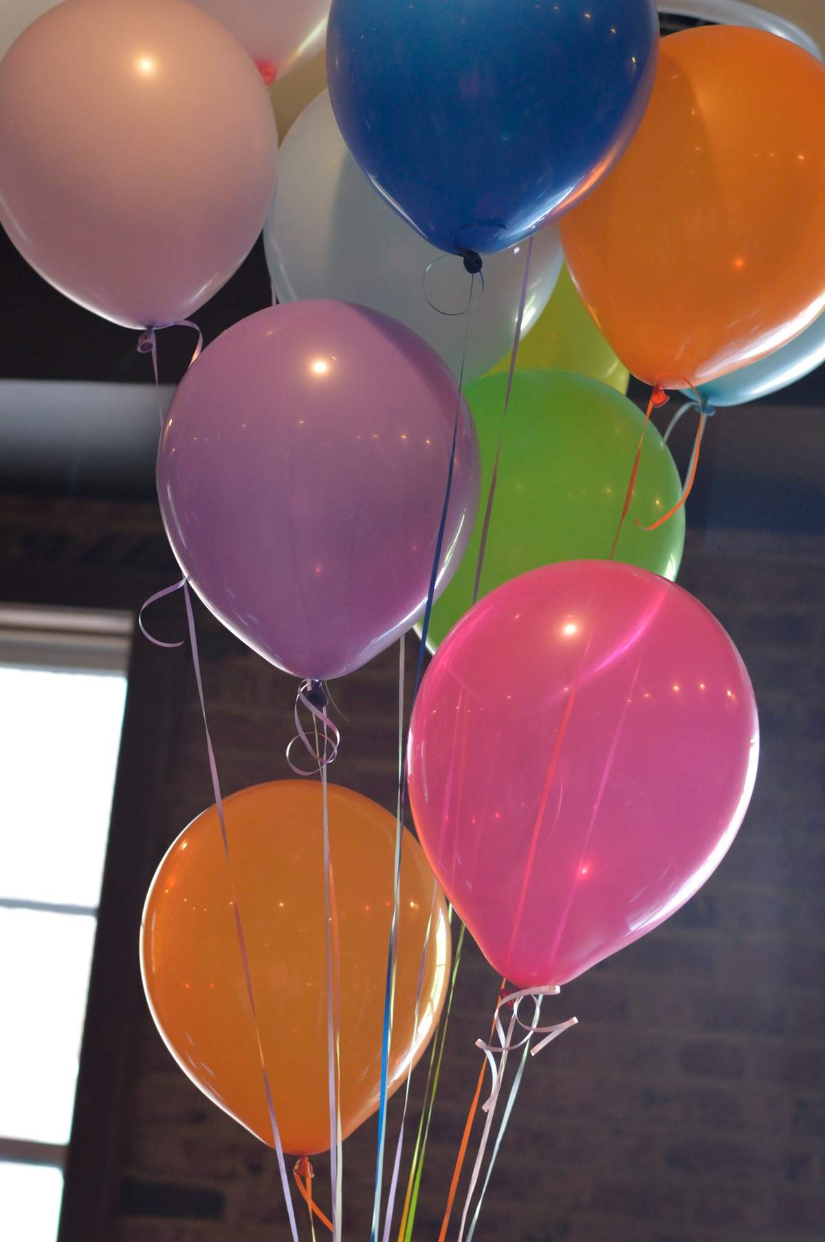 Disney/Pixar's UP Graduation/End of School Party Ideas | Photo 4 of 9 ...