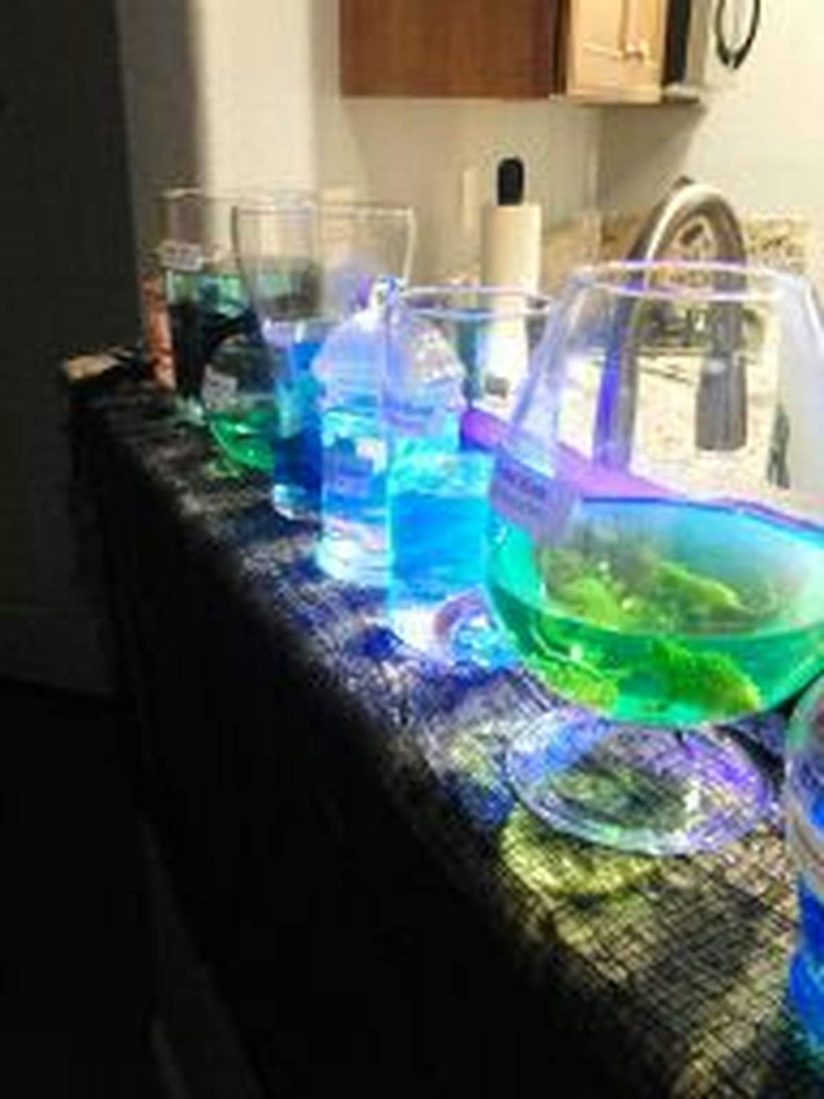 Blake's Mad Scientist Party - None