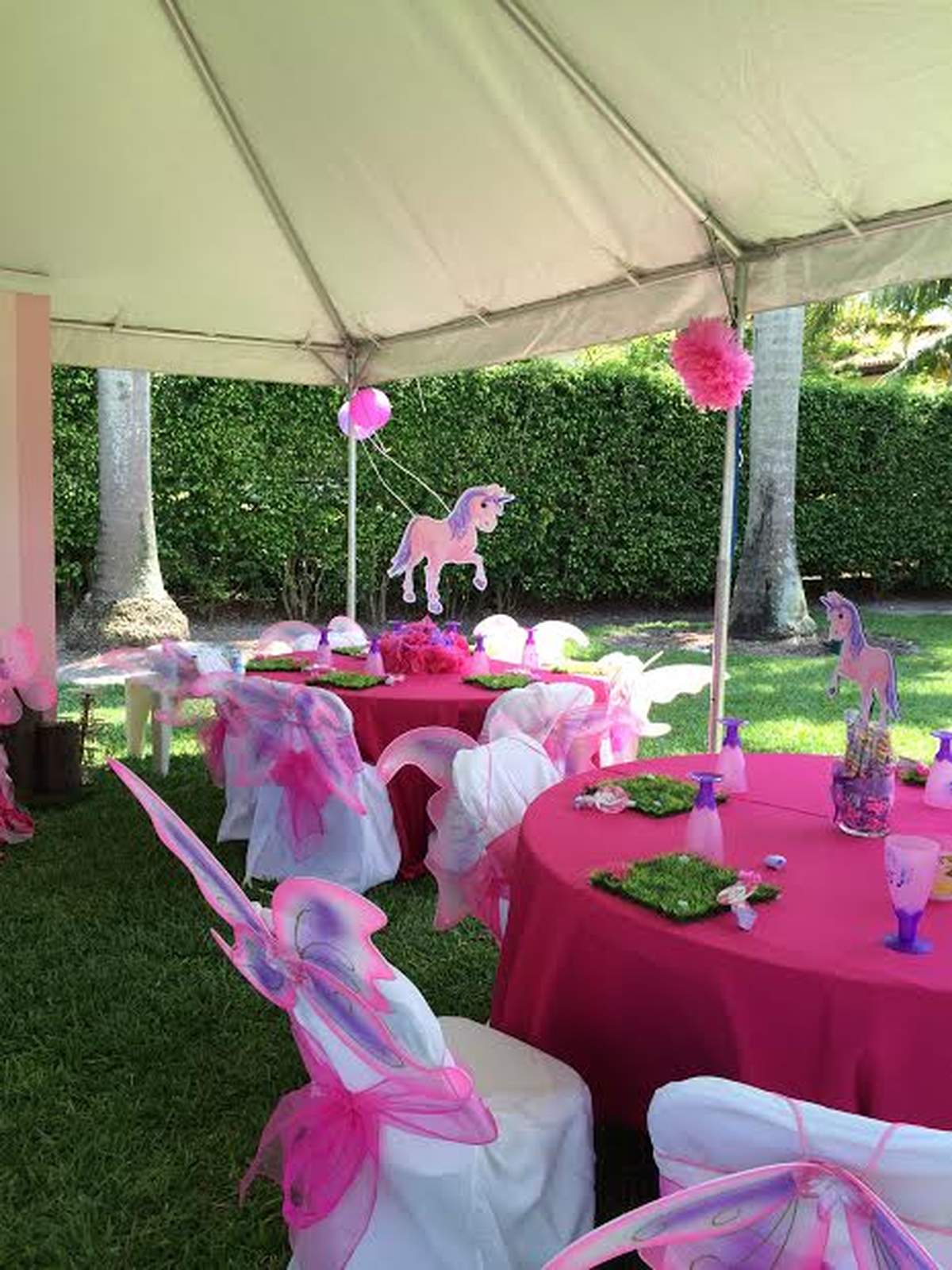 Princess Unicorn Party - Unicorns