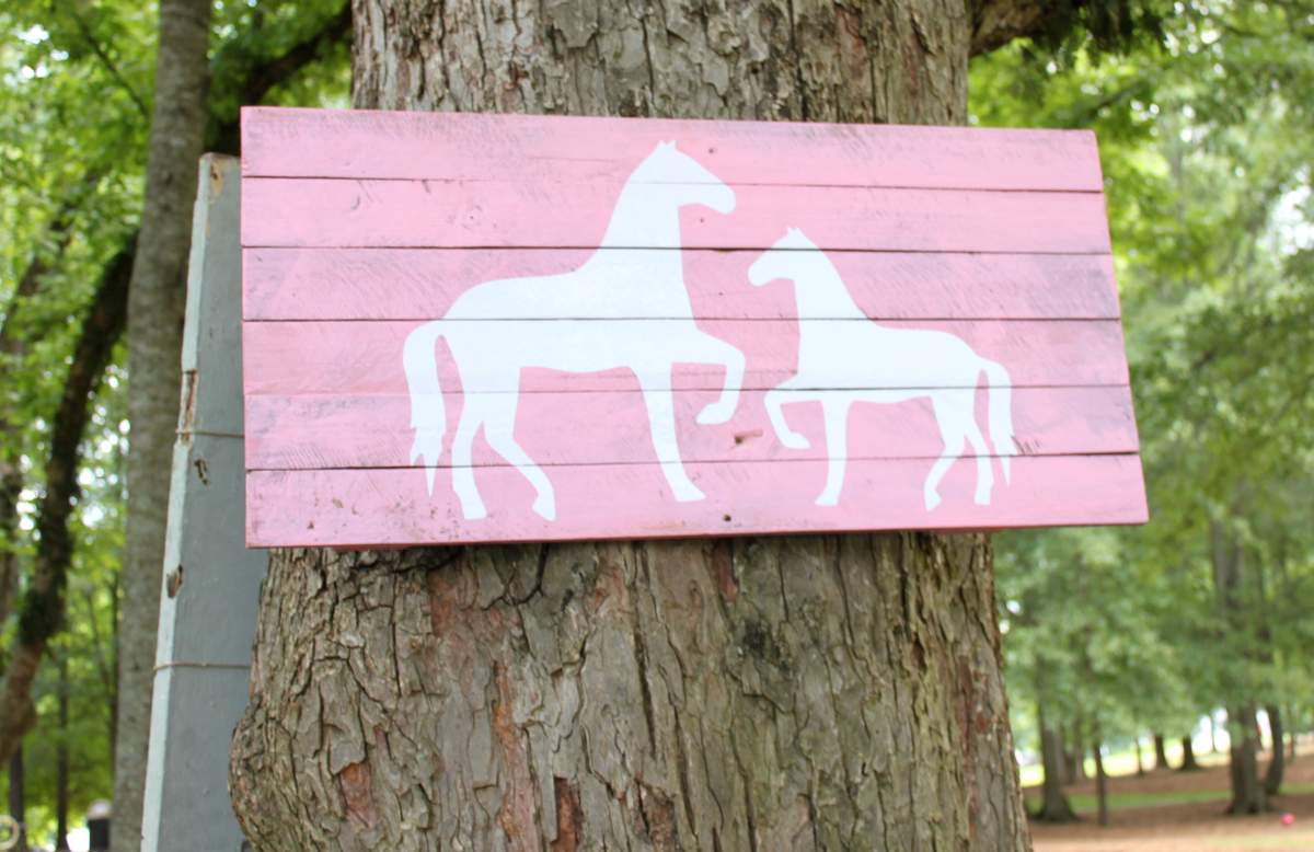 Belle's 11 Birthday Party - Vintage Horse Theme