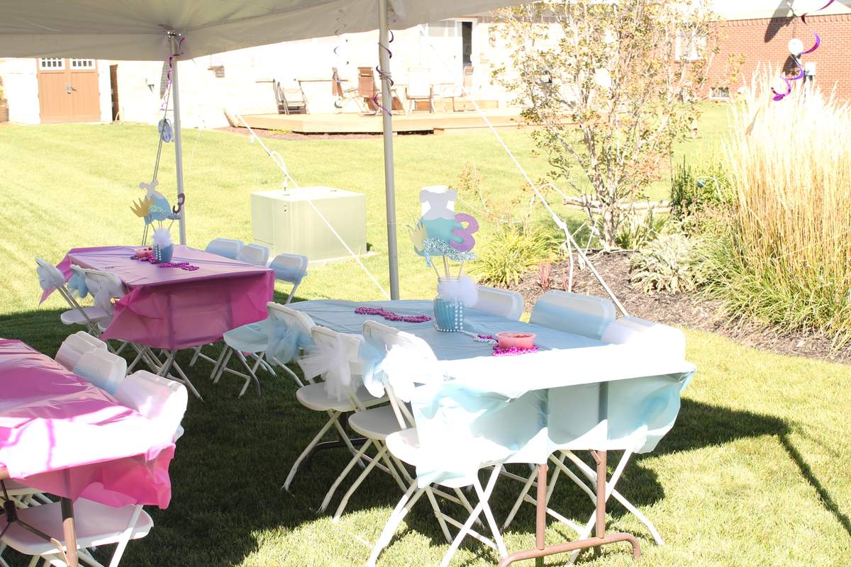 Olivia's 3rd Birthday - Cinderella