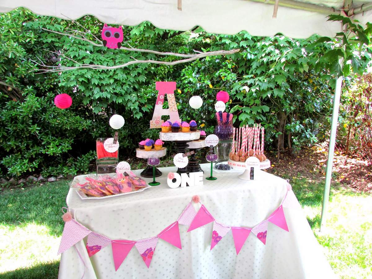 Owl Party - Owl