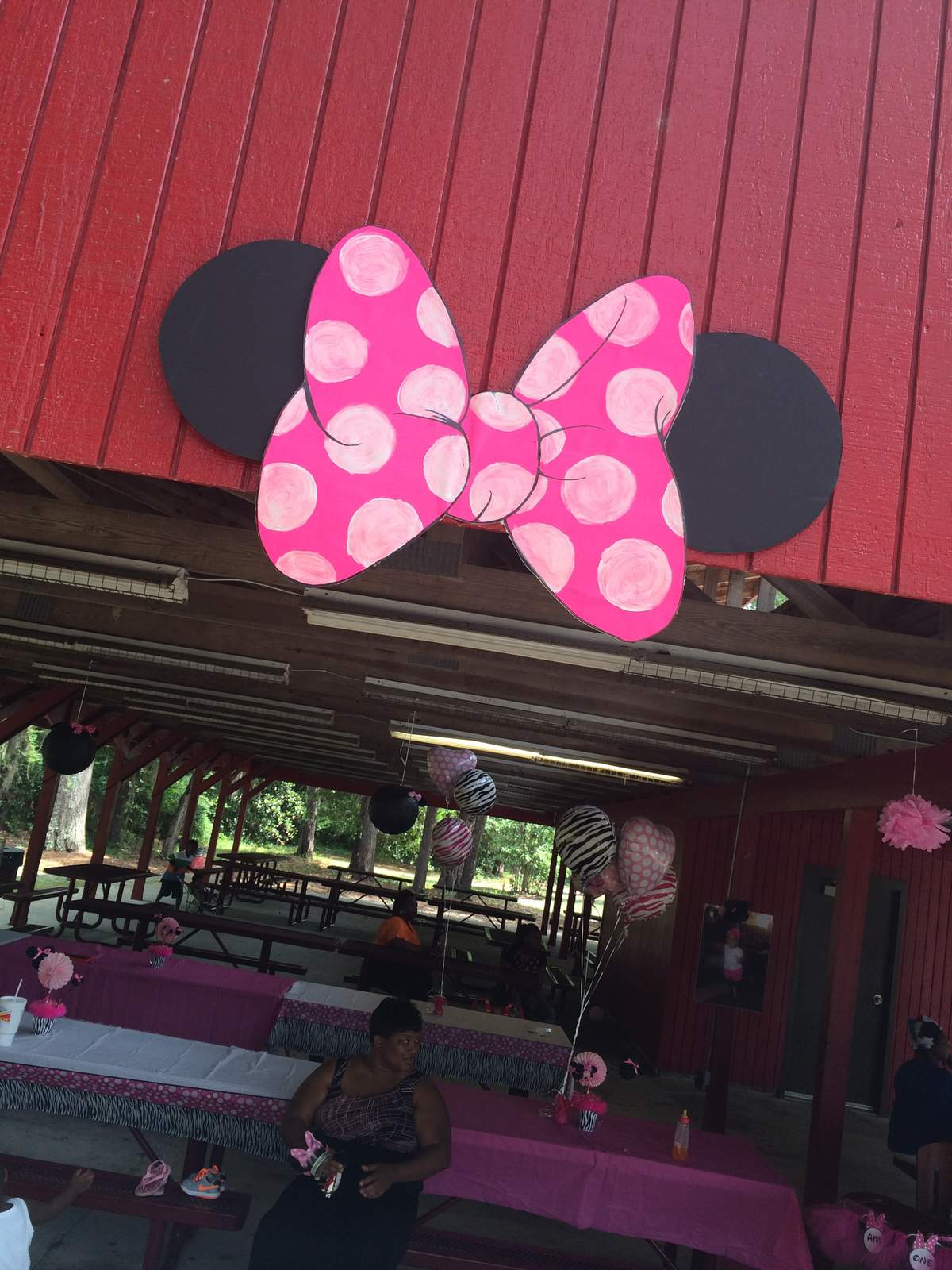 Minnie Mouse & Zebra Diva - None