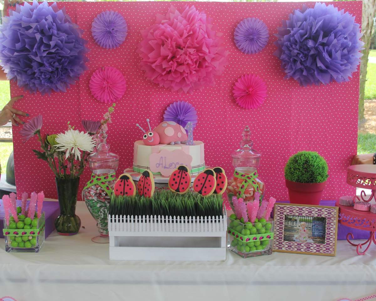 Little Ladybug  - 1st birthday party