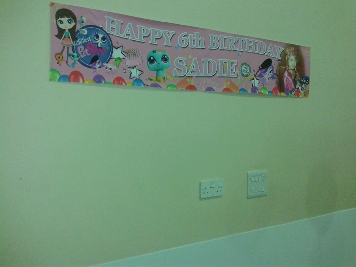 Sadie's Littlest pet shop party - pets