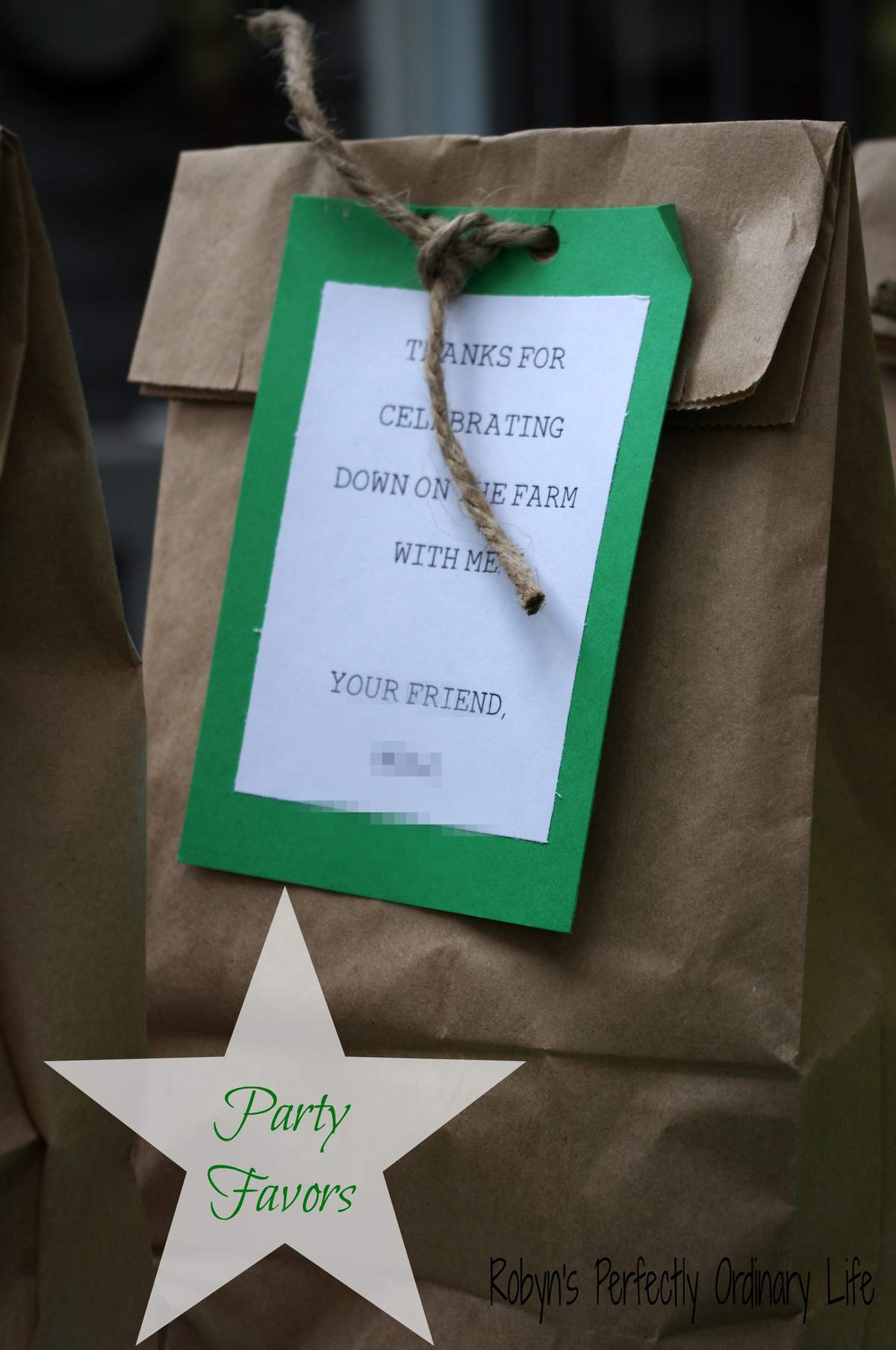 John Deere Farm Party - John Deere Farm