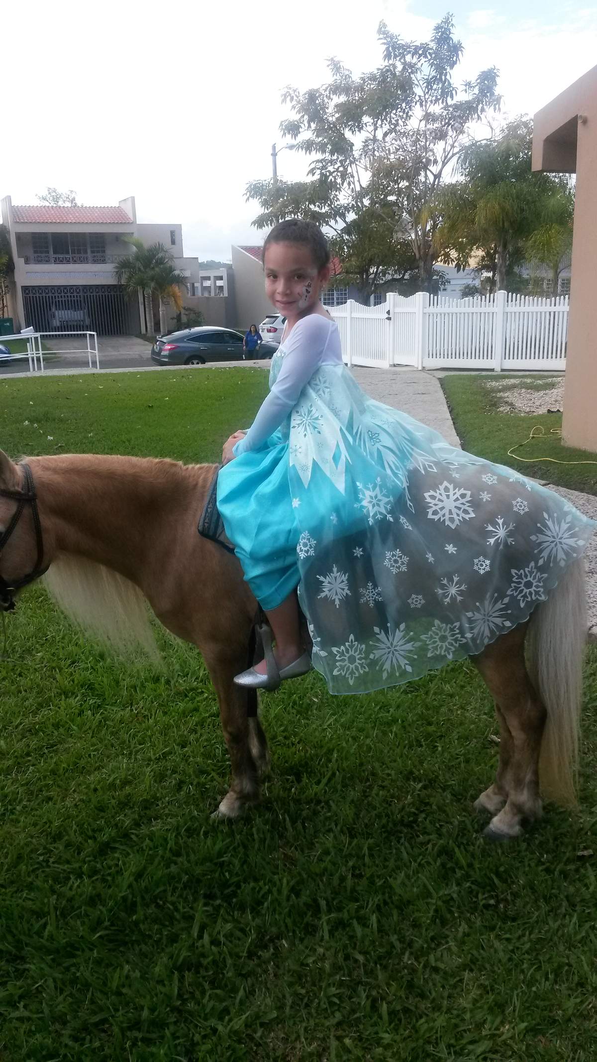 Loraine's birthday - Frozen