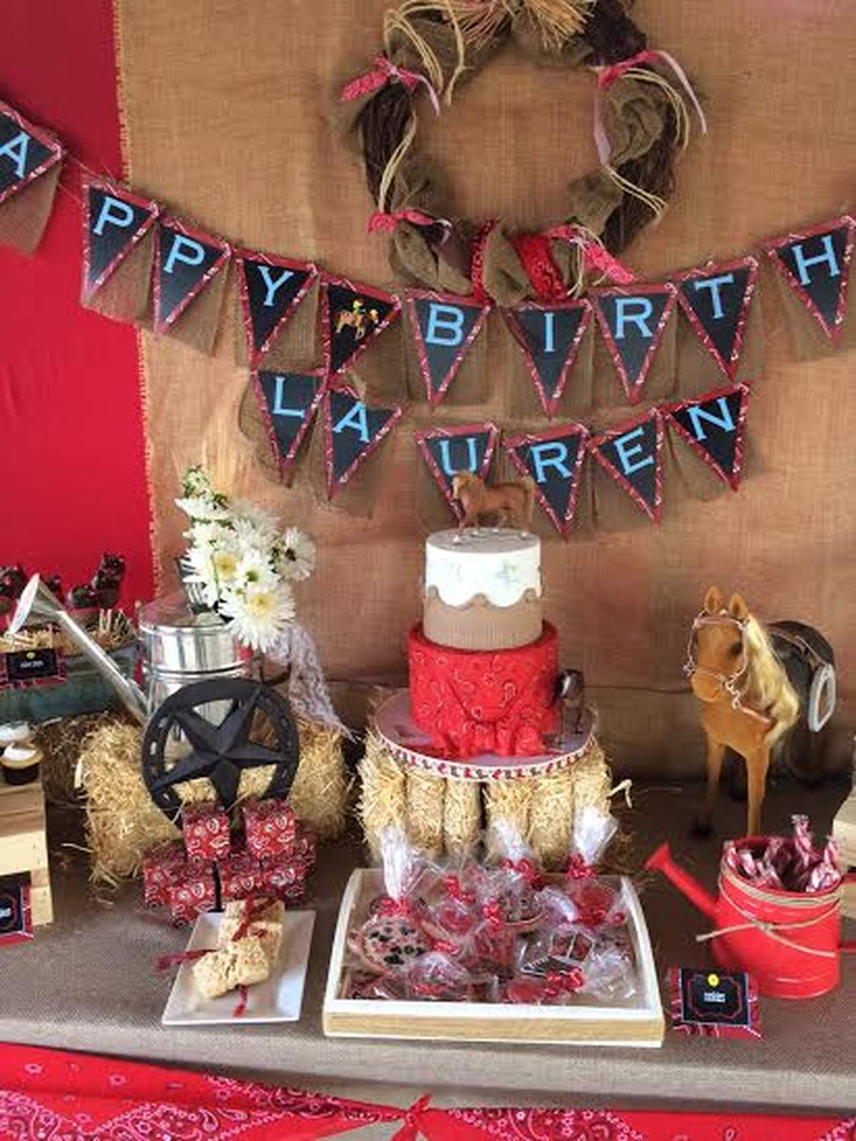 Farm Barnyard Party - Farm Barnyard Party