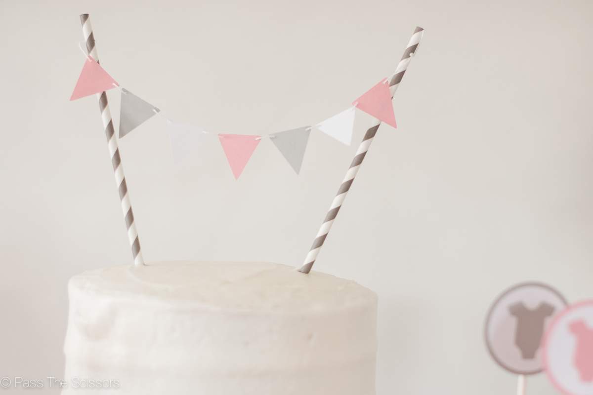 Elephant Baby Girl Shower - Elephants