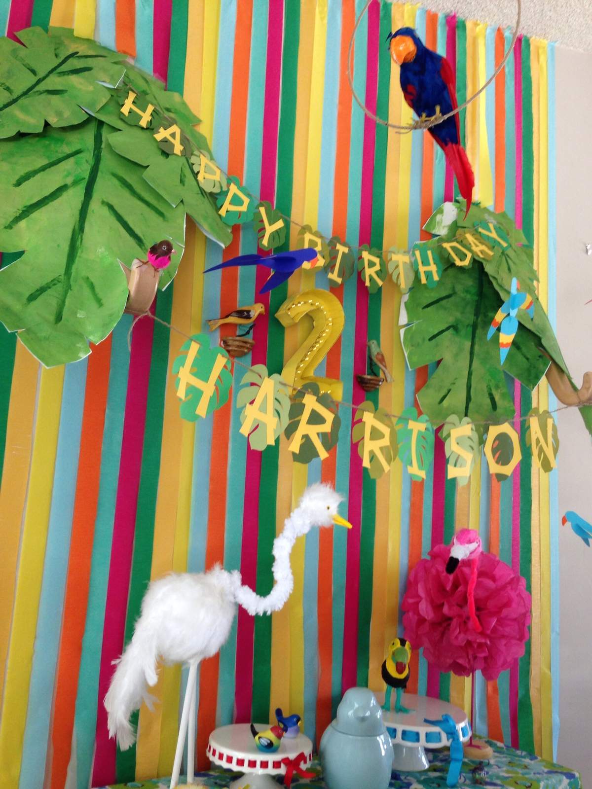 "Bird day" party - None