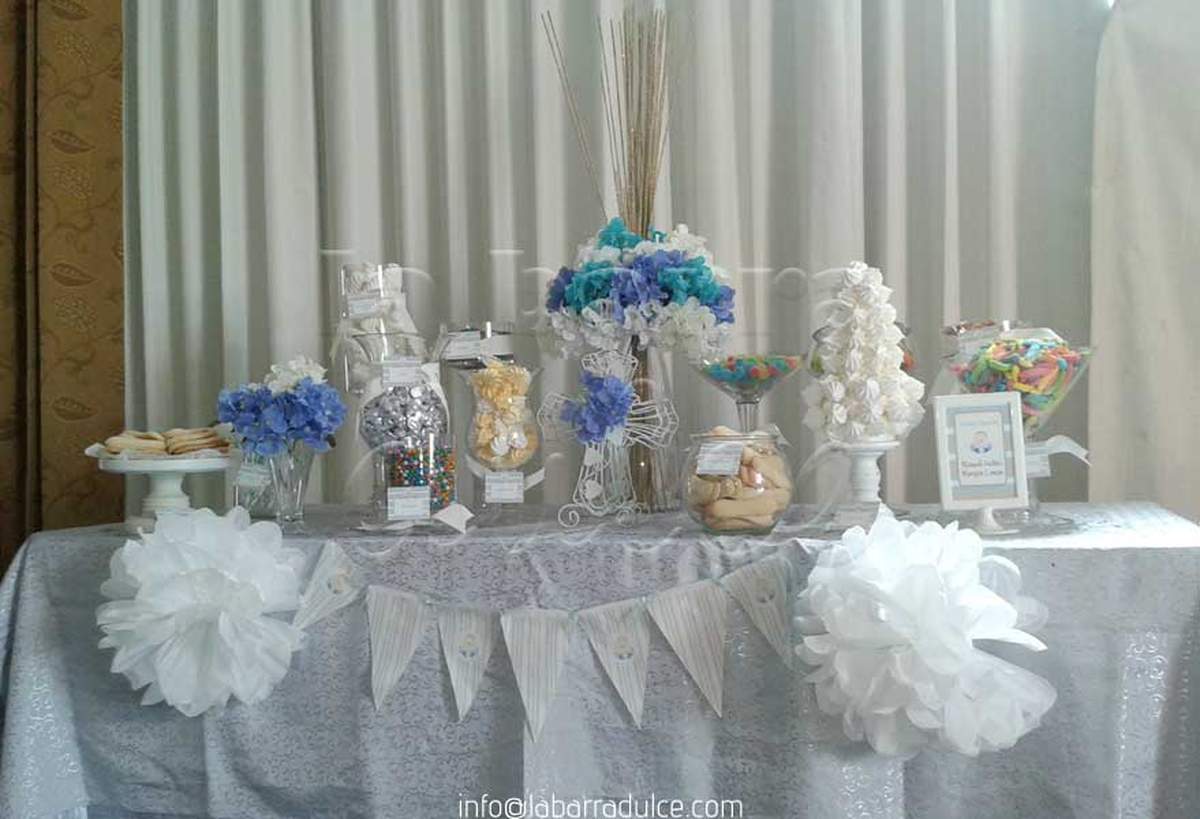 Hydrangea Baby boy  Baptism - None