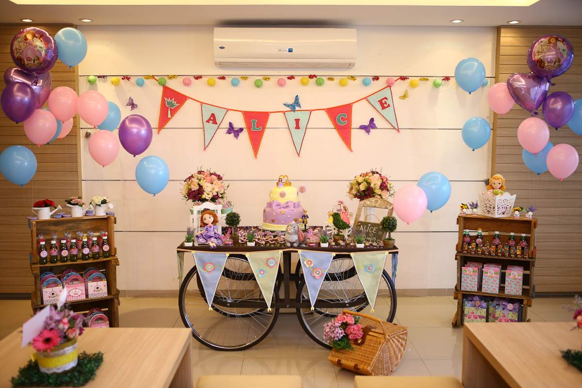 Sofia The First and The Royal Picnic Party - None