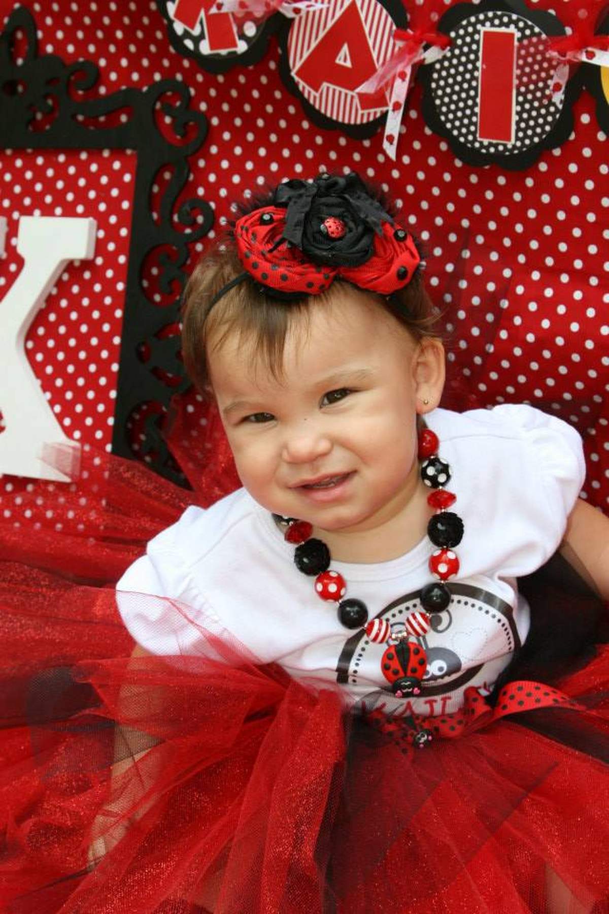 Ladybug First Birthday! - Ladybugs