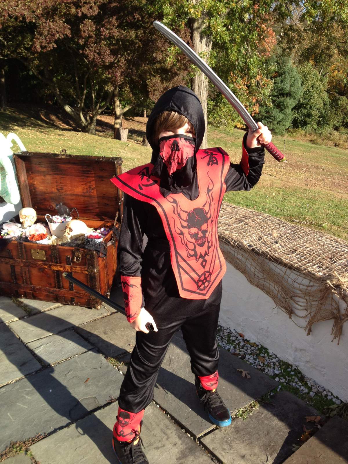 Pirate Halloween - Pirate