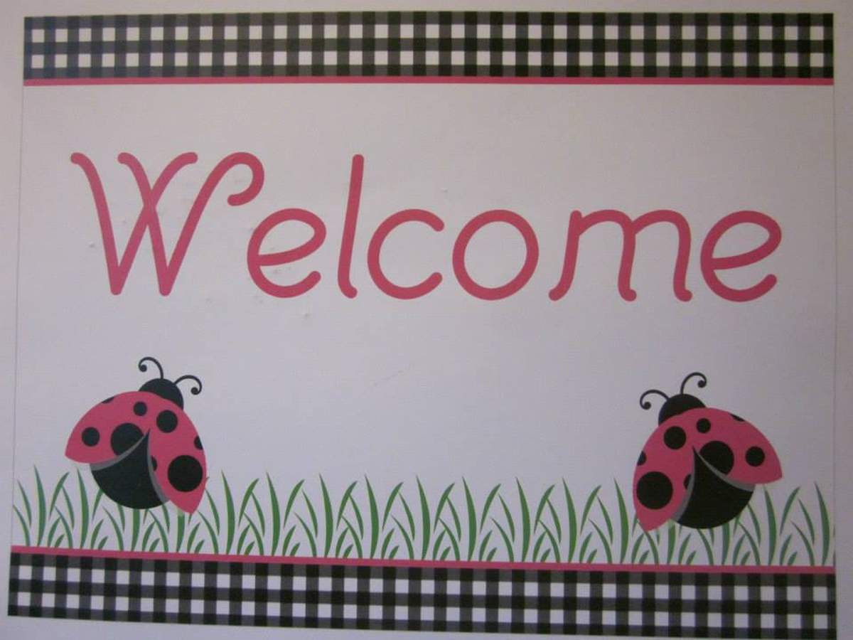 Charlee's 2nd Birthday Party - Ladybugs