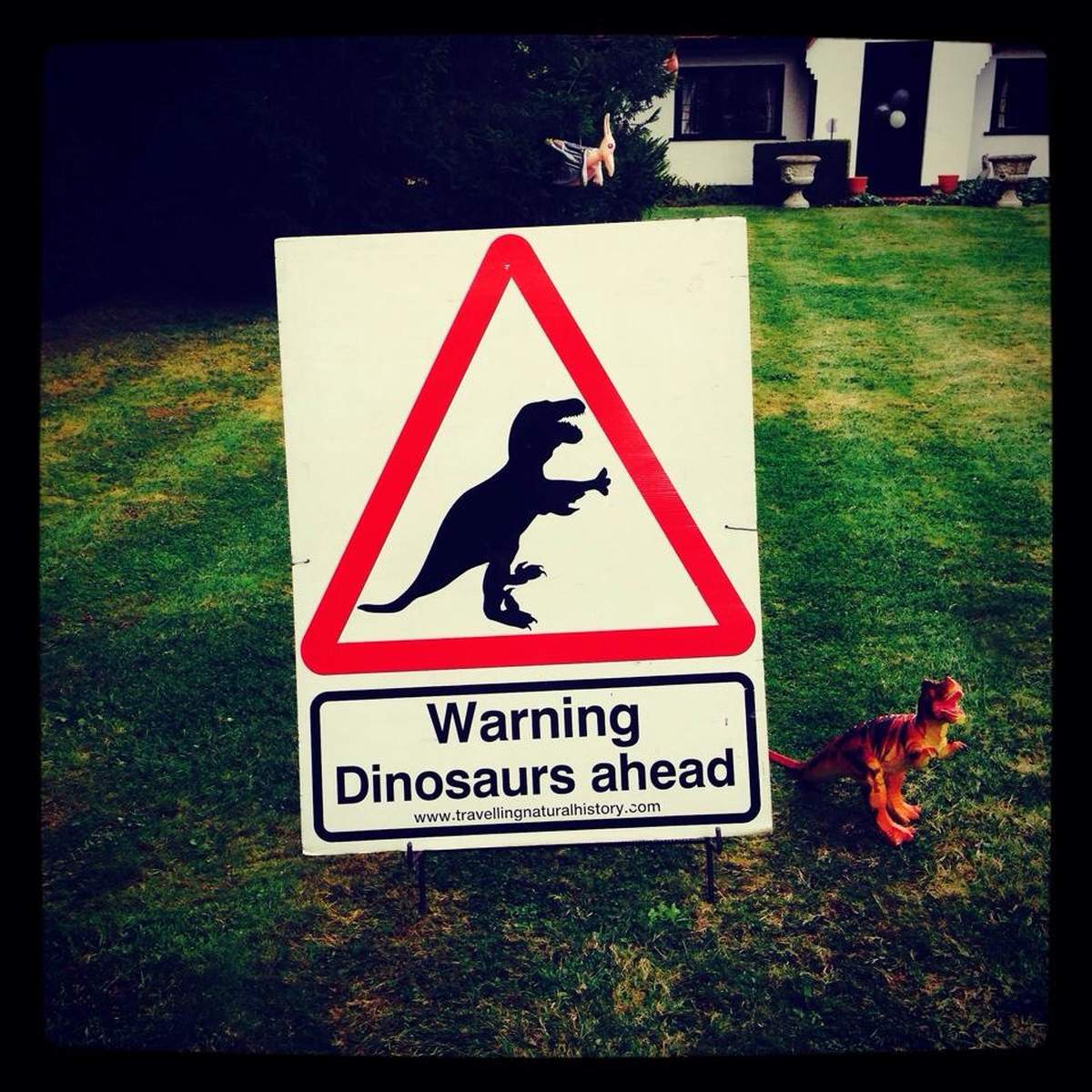 Rhys' Roaring Dinosaur Party - Dino