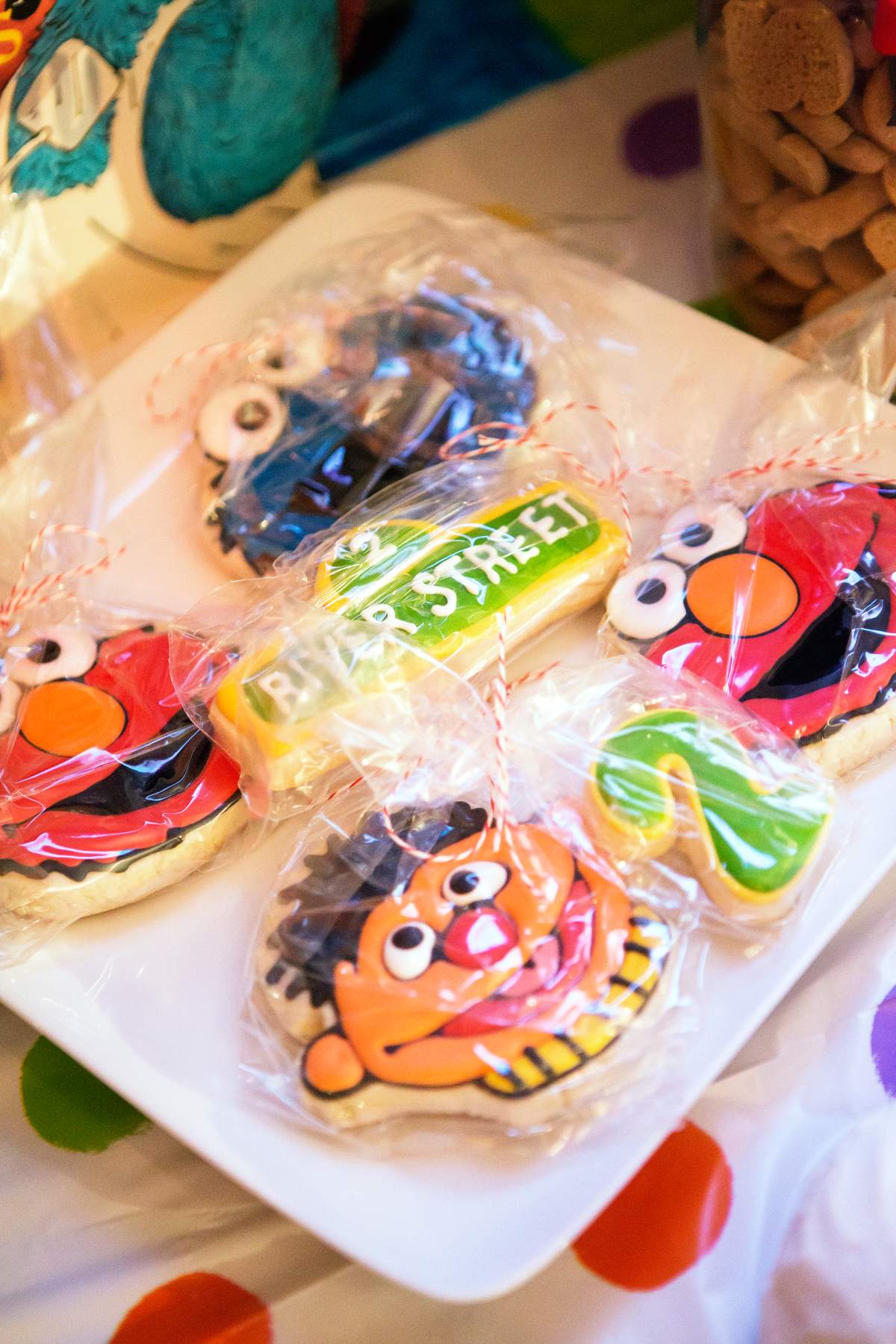 River's Sesame Street Party - Sesame Street 