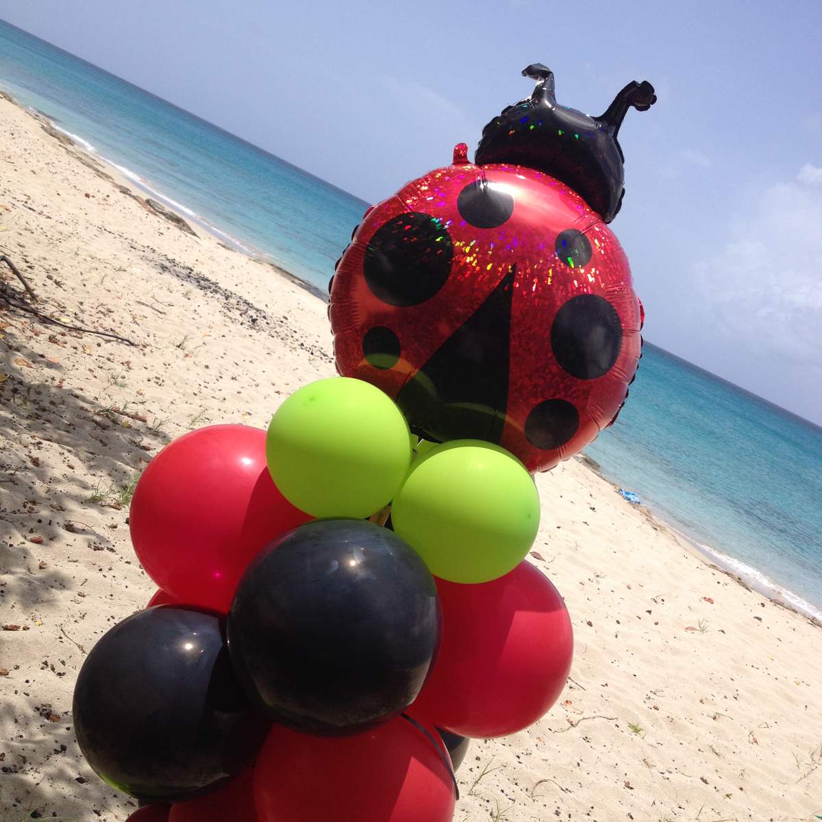 Lady Bug 11th Beach Birthday Party - Ladybugs
