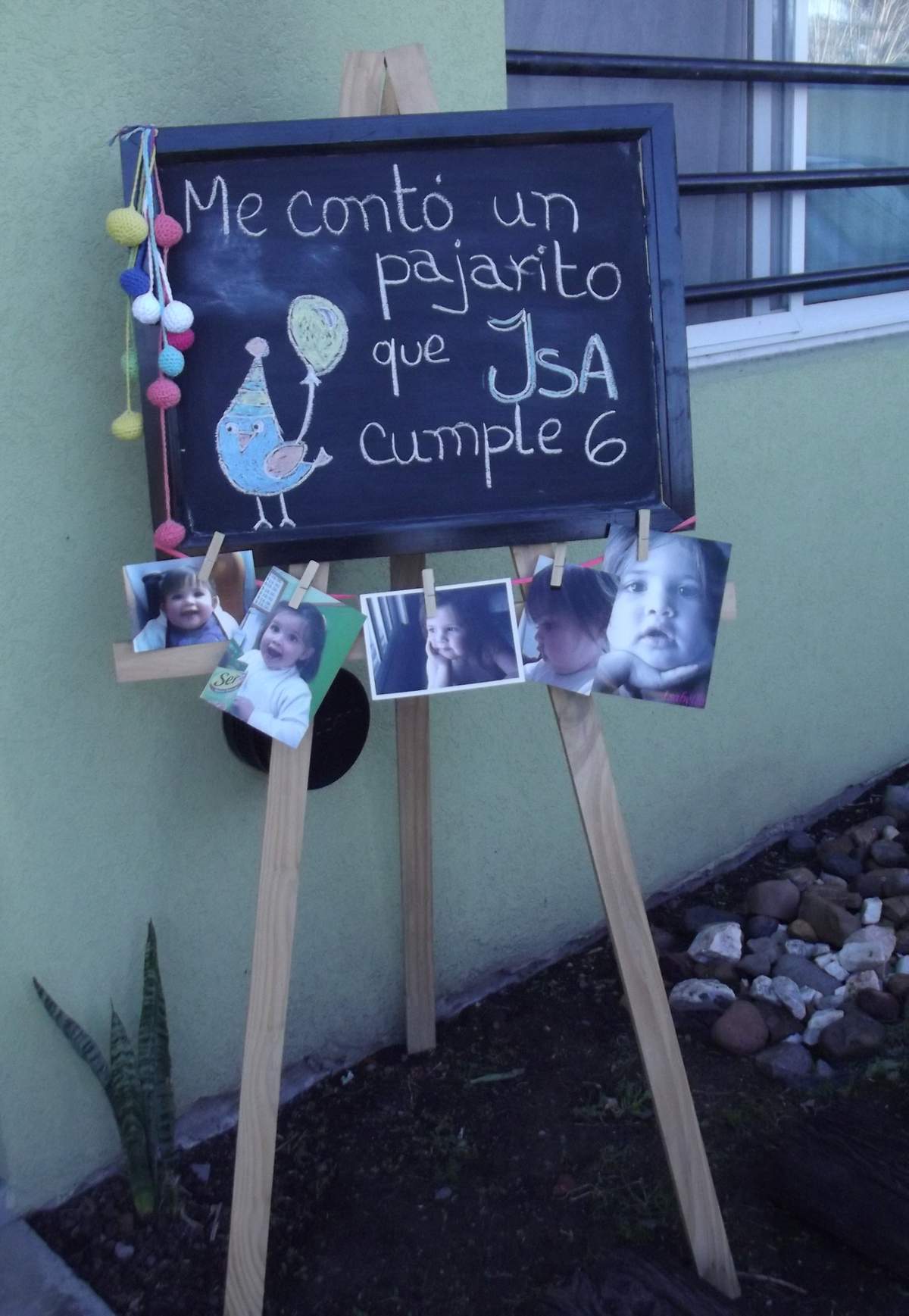 Pájaro en mano para Isabella - Pajaritos