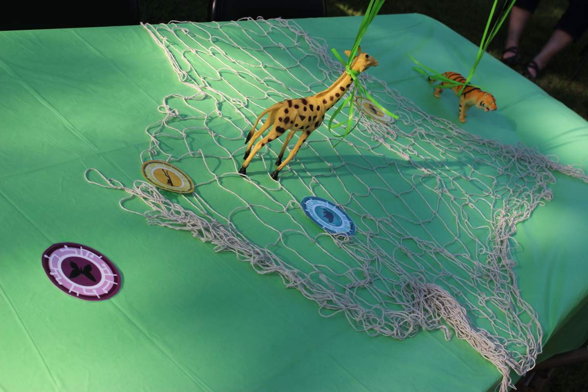 Lincoln's Wild Kratts Party! - Wild Kratts