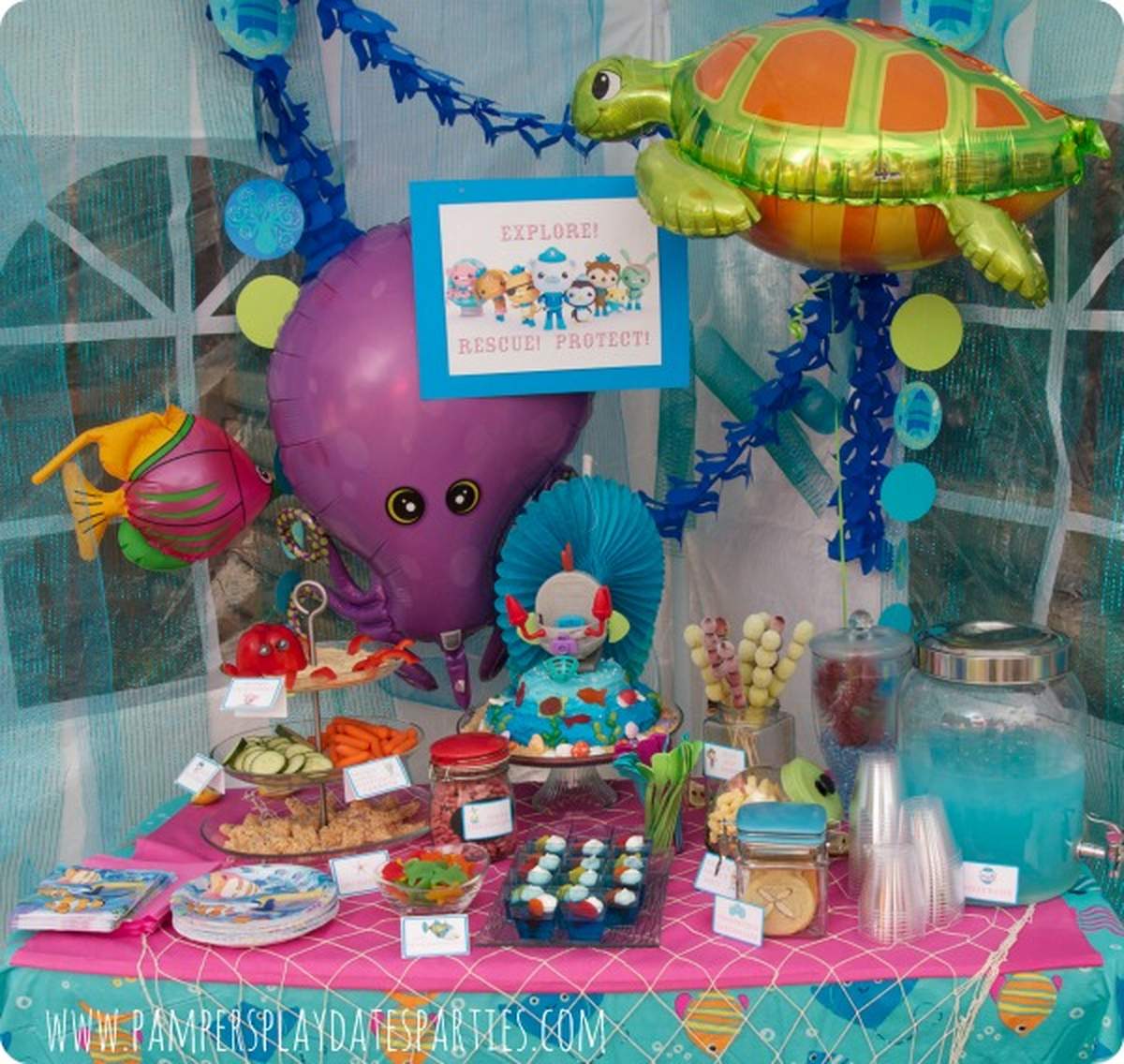 Octonauts Birthday Party Ideas Photo 3 of 8 Catch My Party