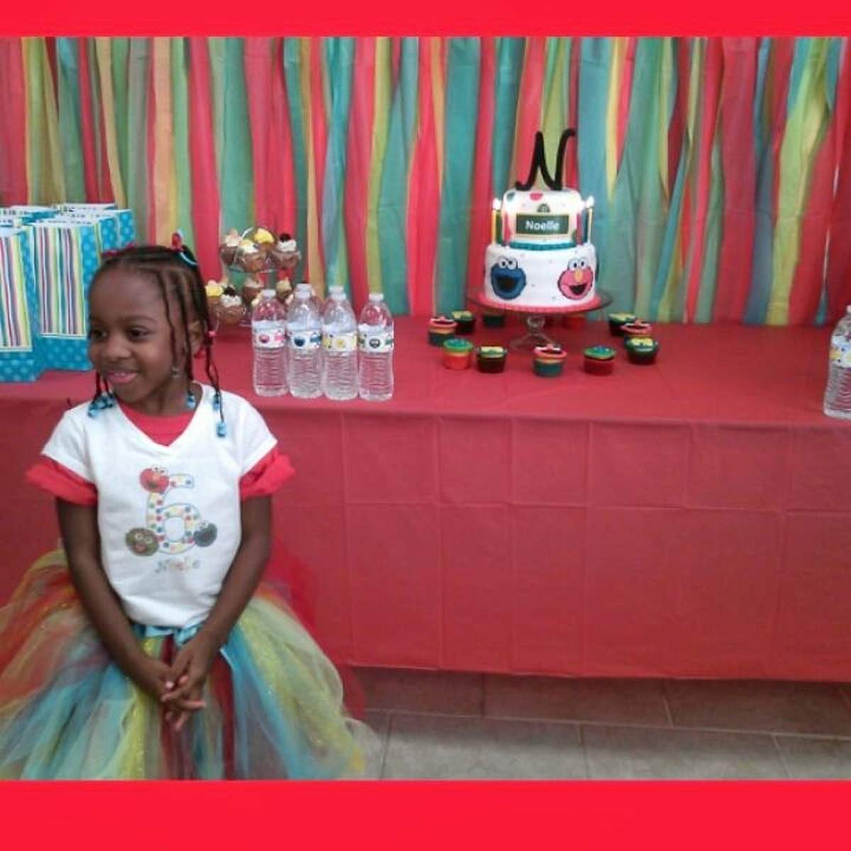 Noelle's Awesome 6th Birthday - Sesame Street