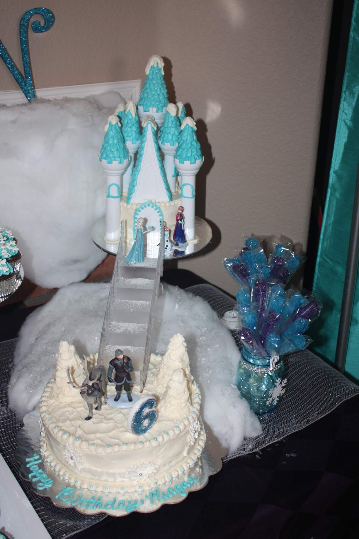 Meagan's Frozen Birthday Extravaganza - Disney Frozen