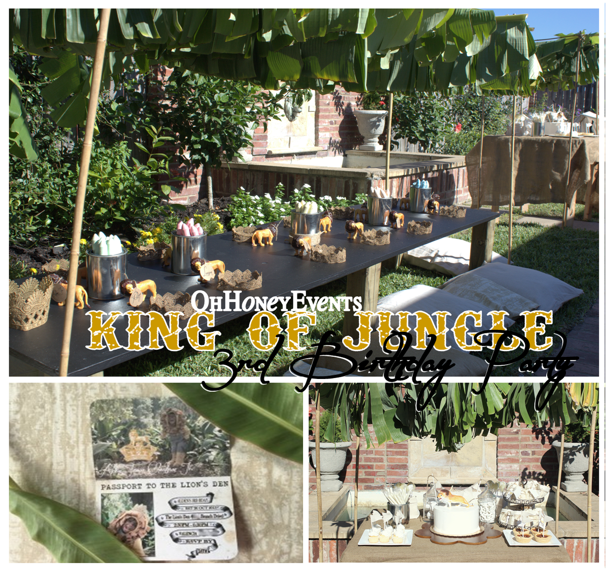 King of Jungle - lion 