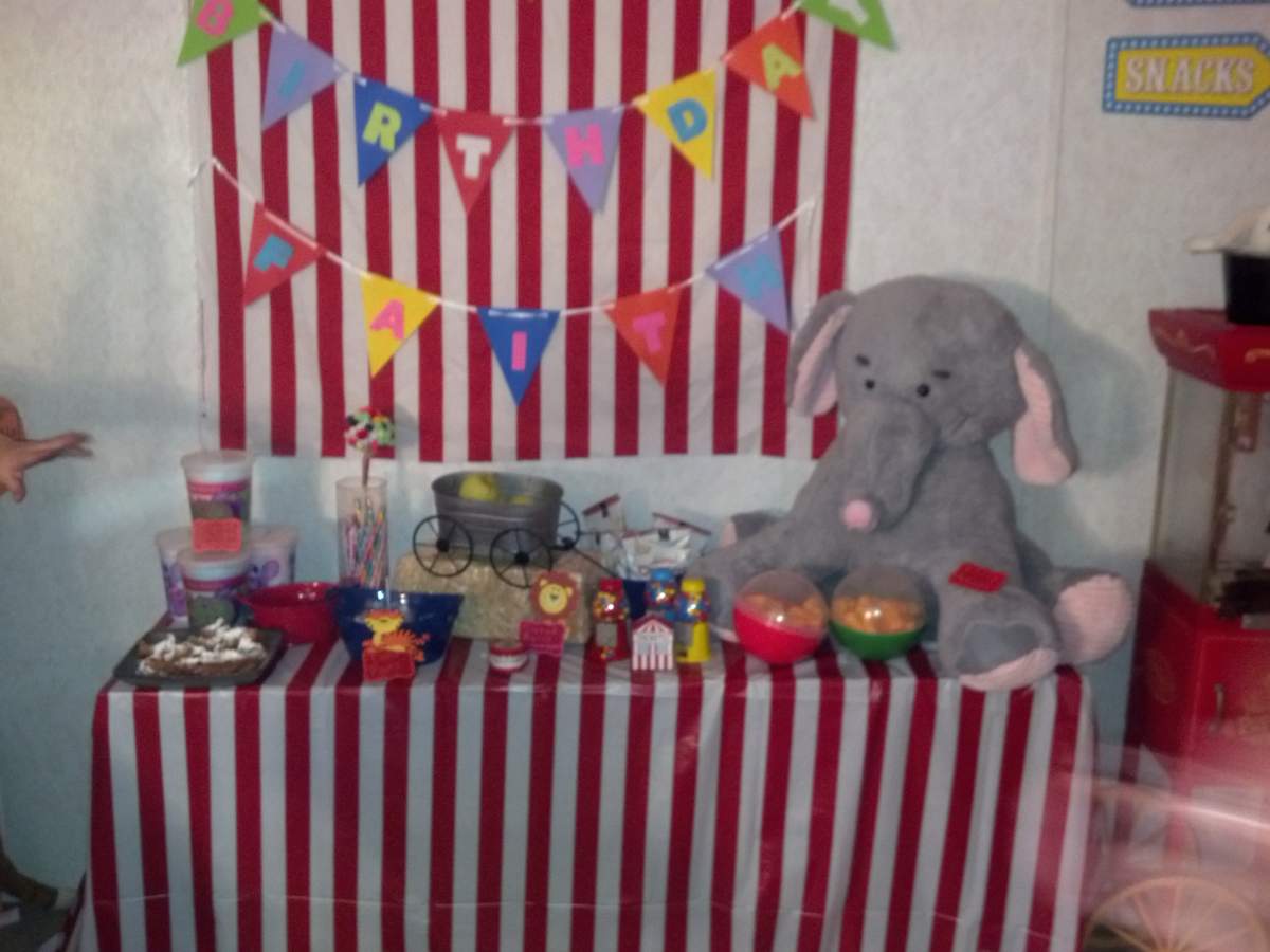 Faith's 9th Birthday - Circus / Carnival