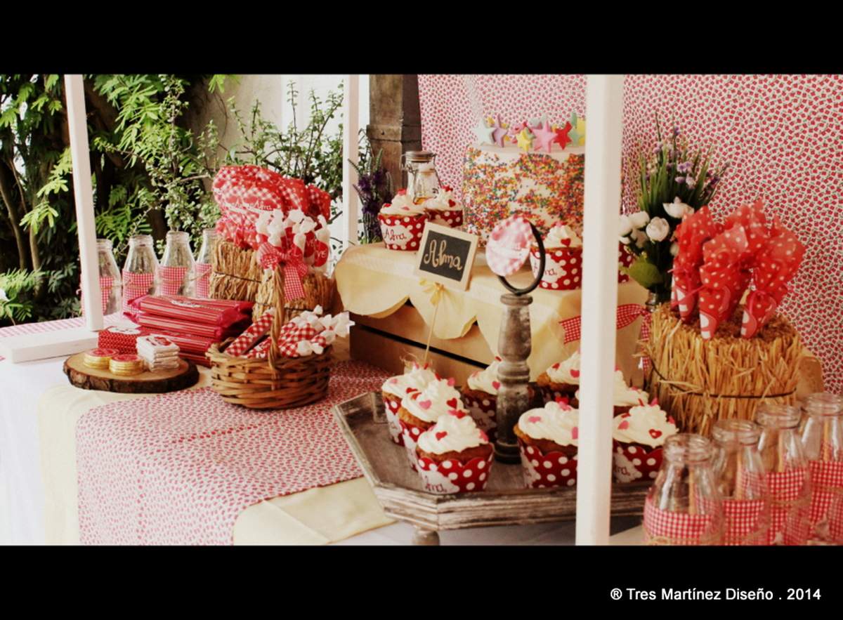 Alma y su picnic-cumple! - Picnic