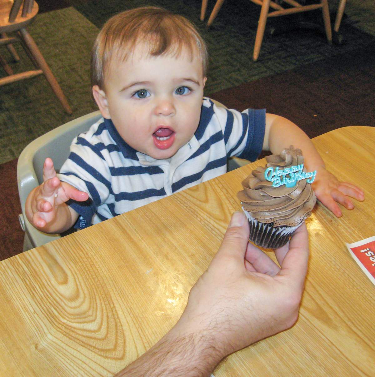 Joey's 1st Birthday - 1st Birthday