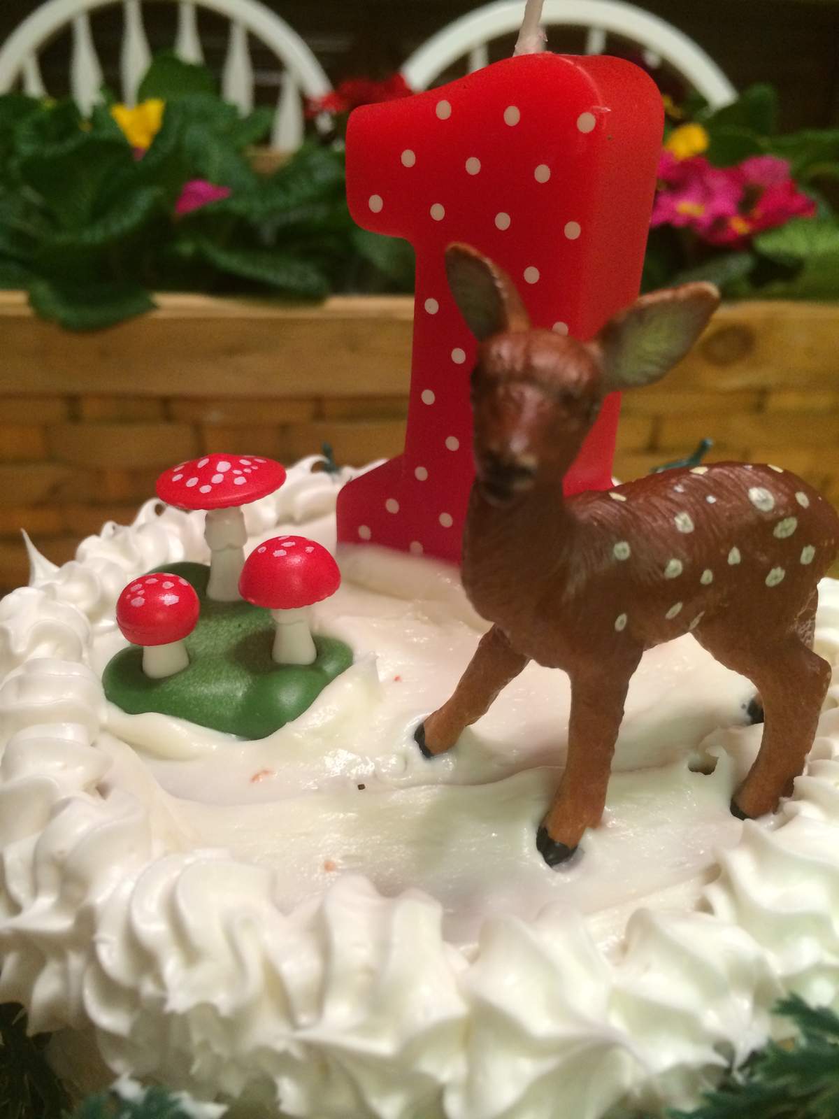 Noella Ivy turns 1! - Gnome/ woodland