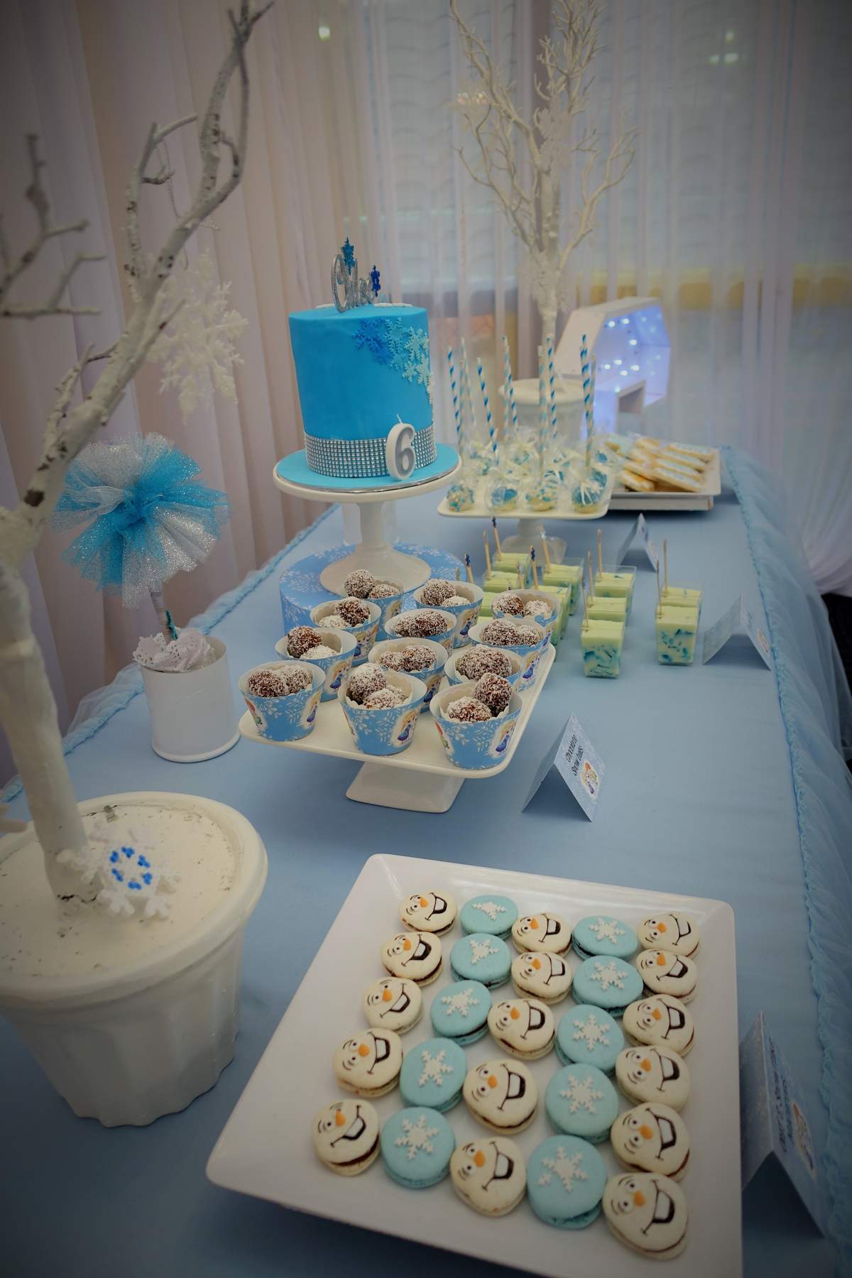 Chelsea's & Chloe's Frozen Parties - Frozen (Disney)