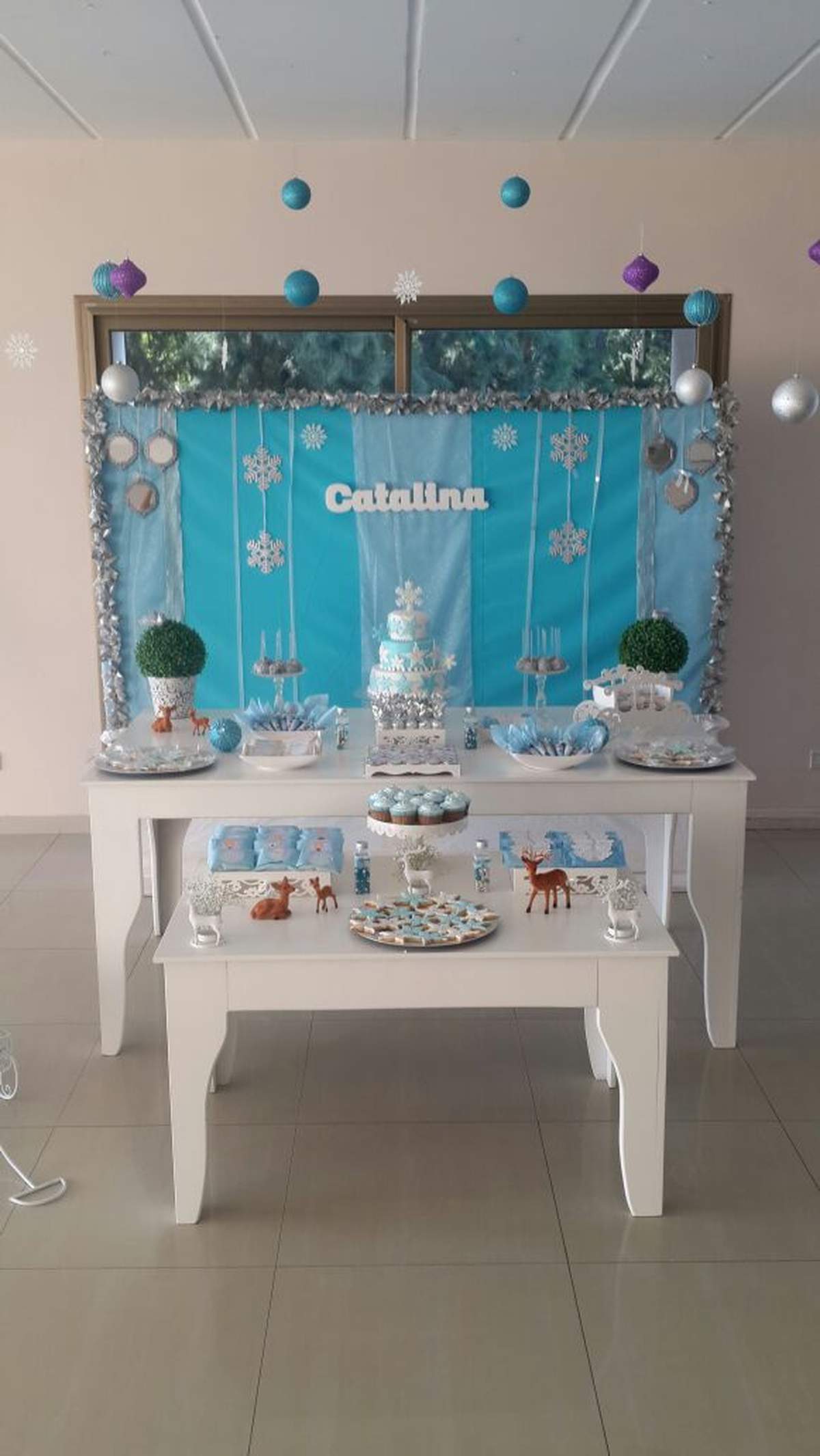 Catalina dreamed frozen party - Frozen