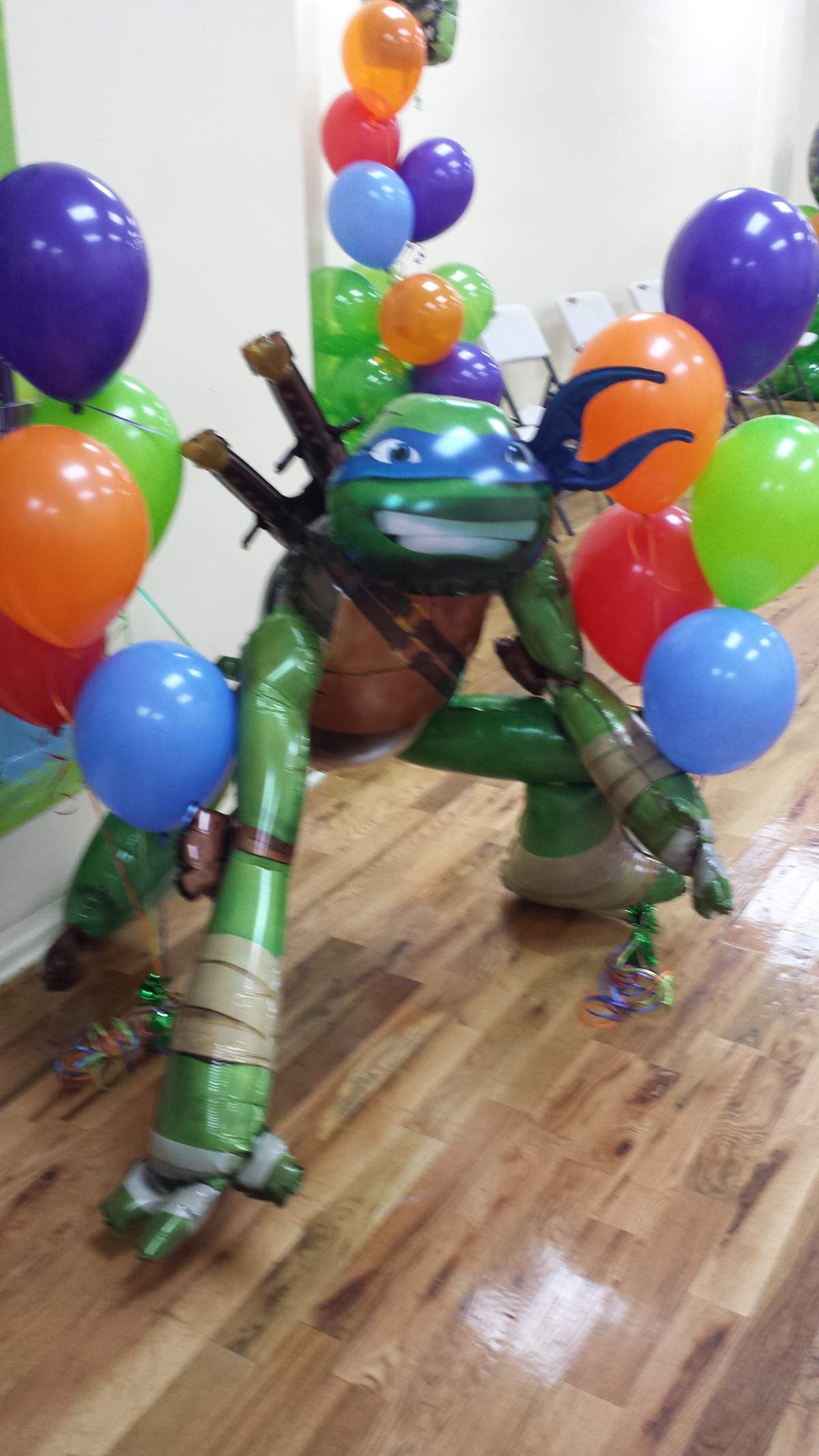 Teenage Ninja Turtles - Ninja Turtles