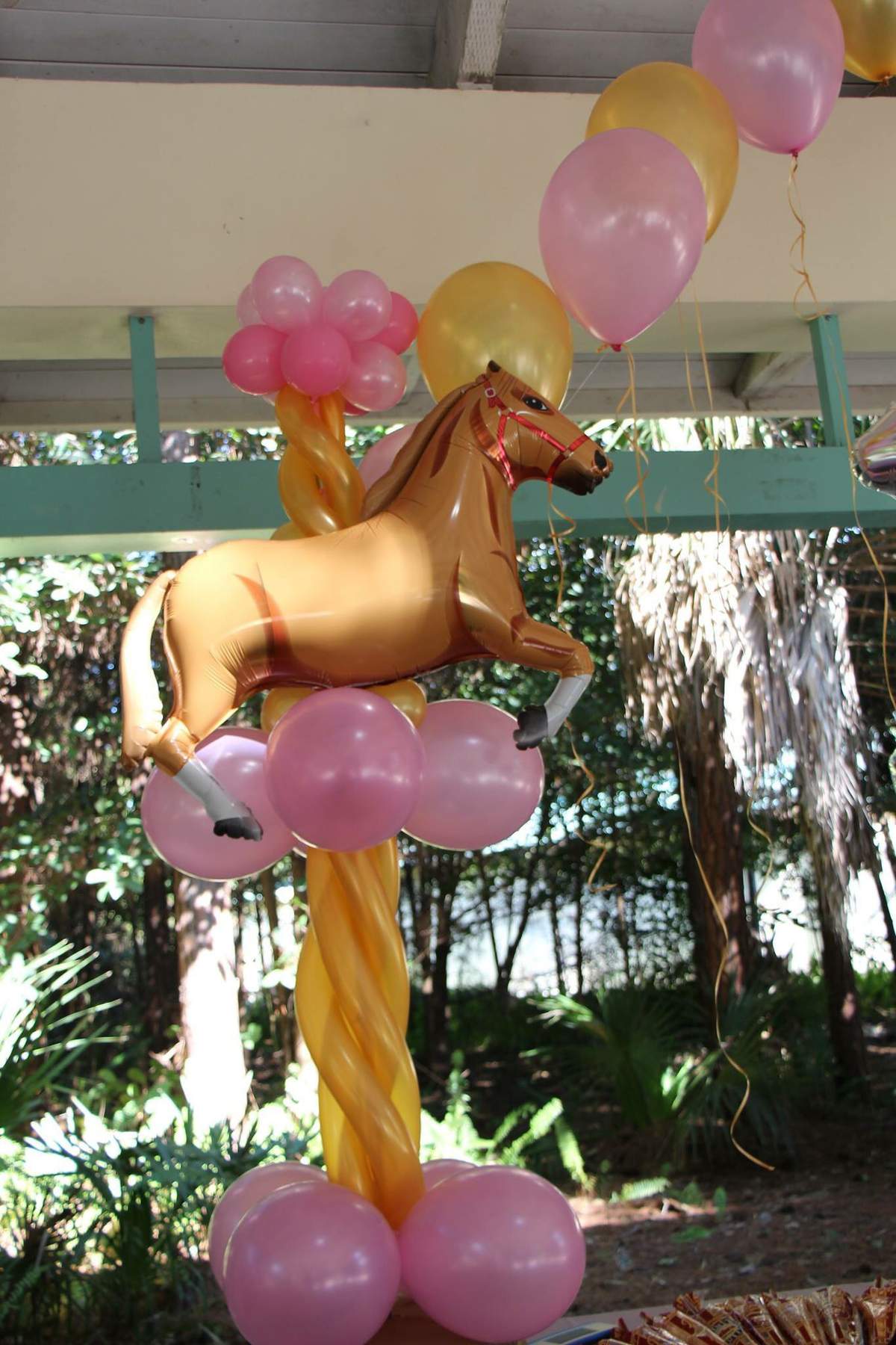 Bailey's 1st Birthday - Carousel Horse