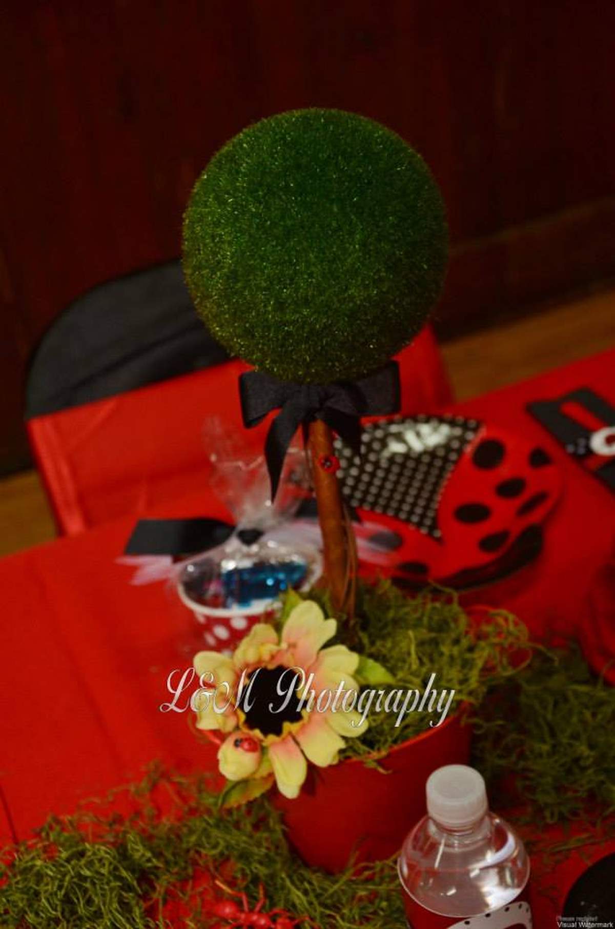 Little Ladybug 1st Birthday  - Ladybugs