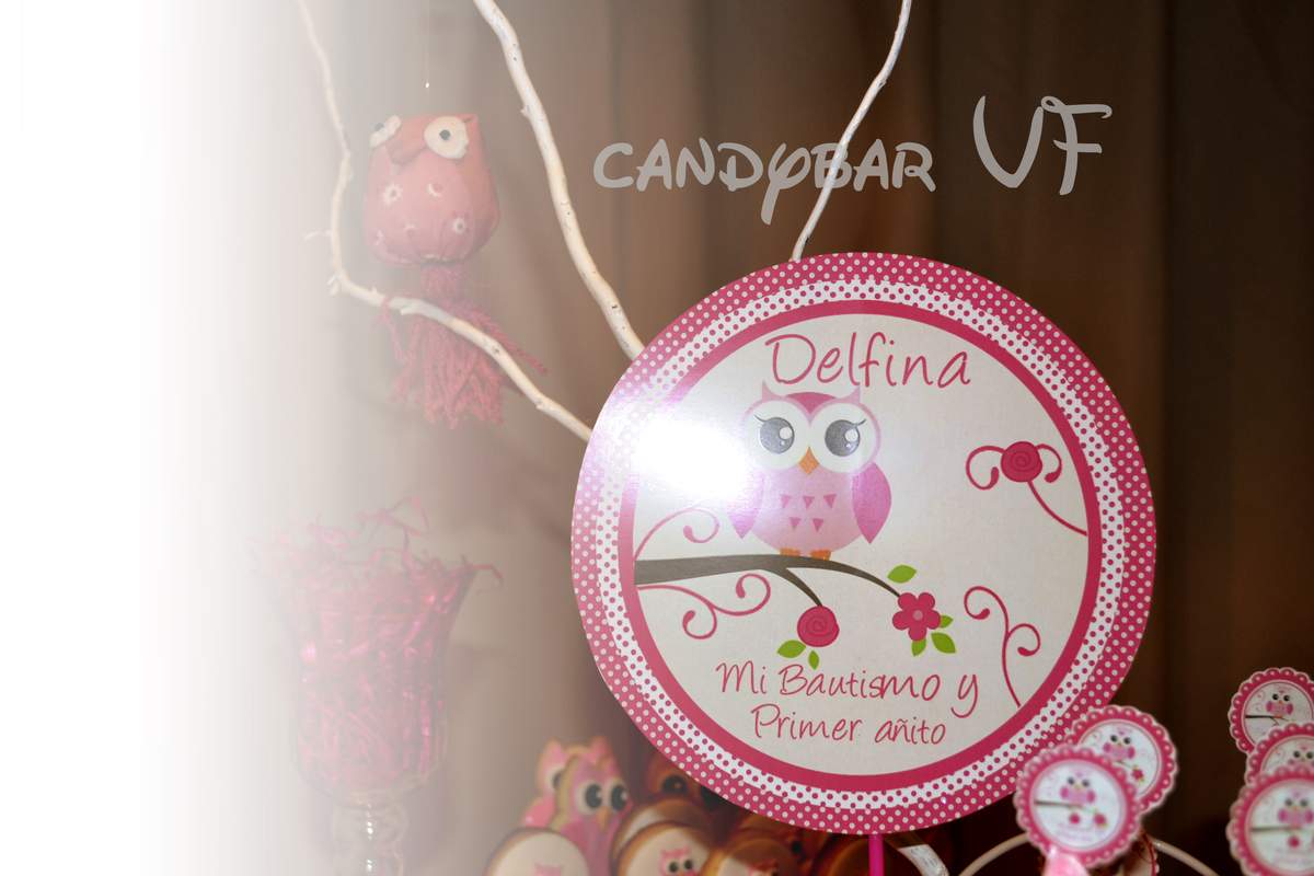 Sweet owl - dulces lechucitas