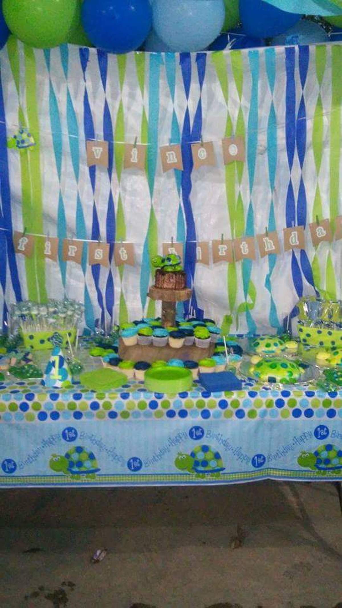 Vince Carter First Birthday Party - Turtle first birthday