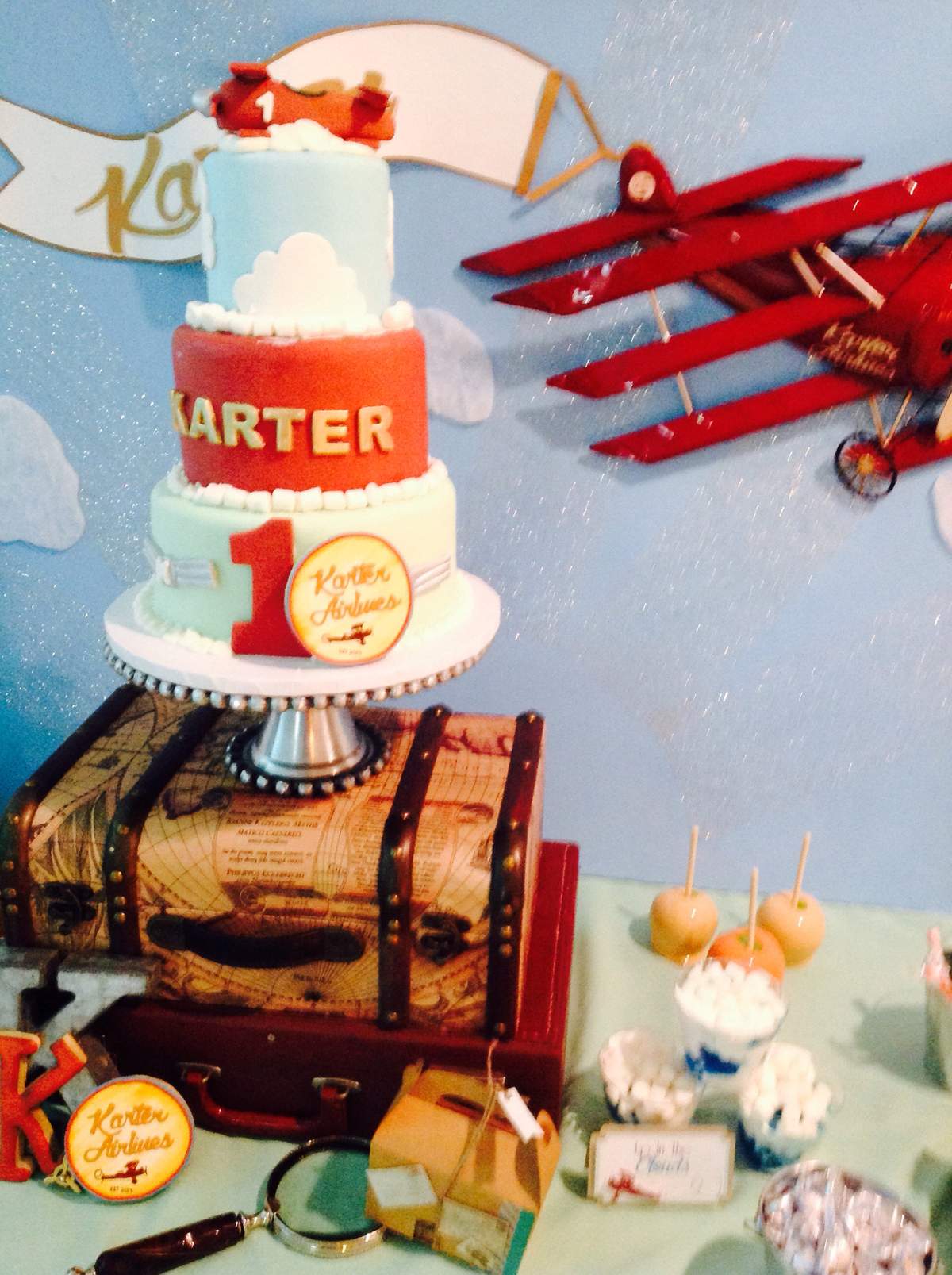 Vintage Airplane Party   - Vintage Airplane