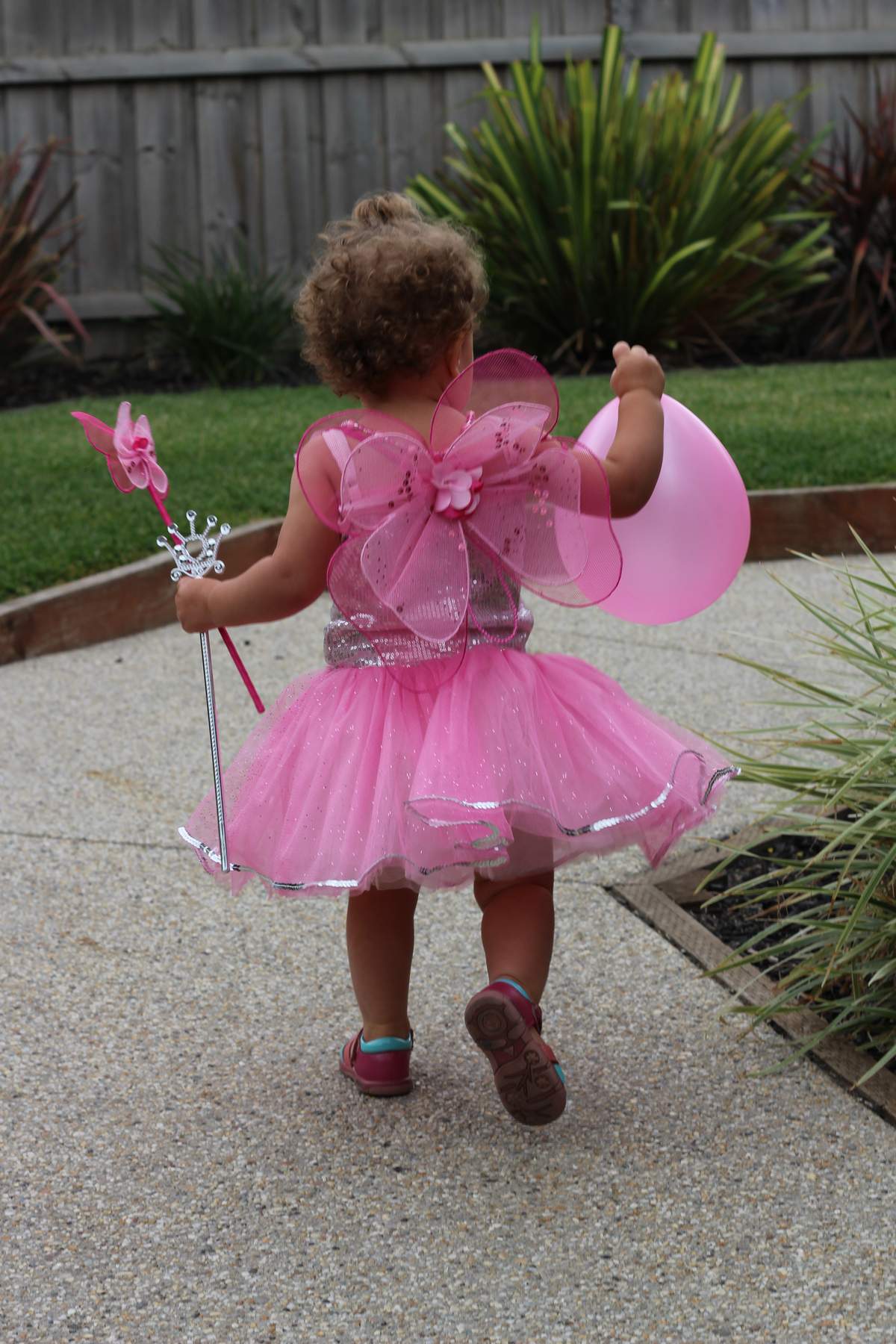 Mia's Fairy Princess Party - Fairy Princess