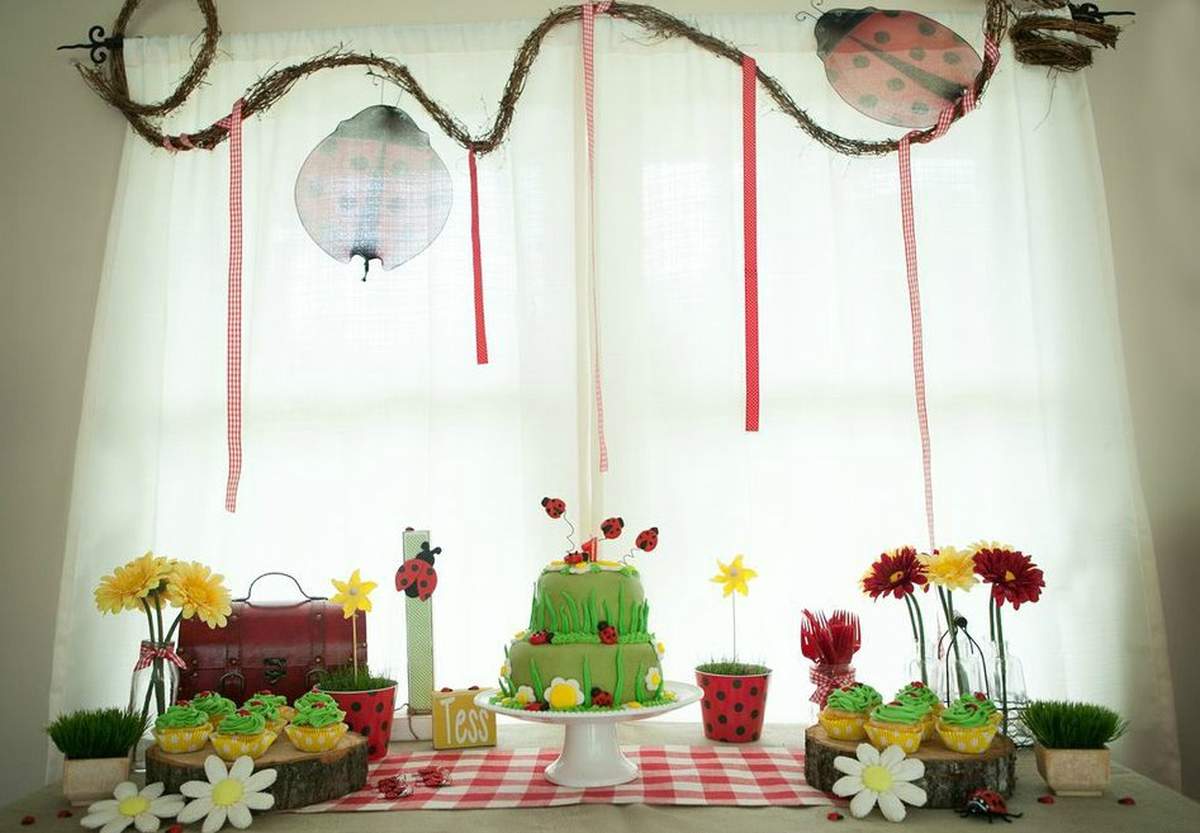  Ladybug 1st Birthday - Little Lady Tess Turns 1 year - Ladybugs