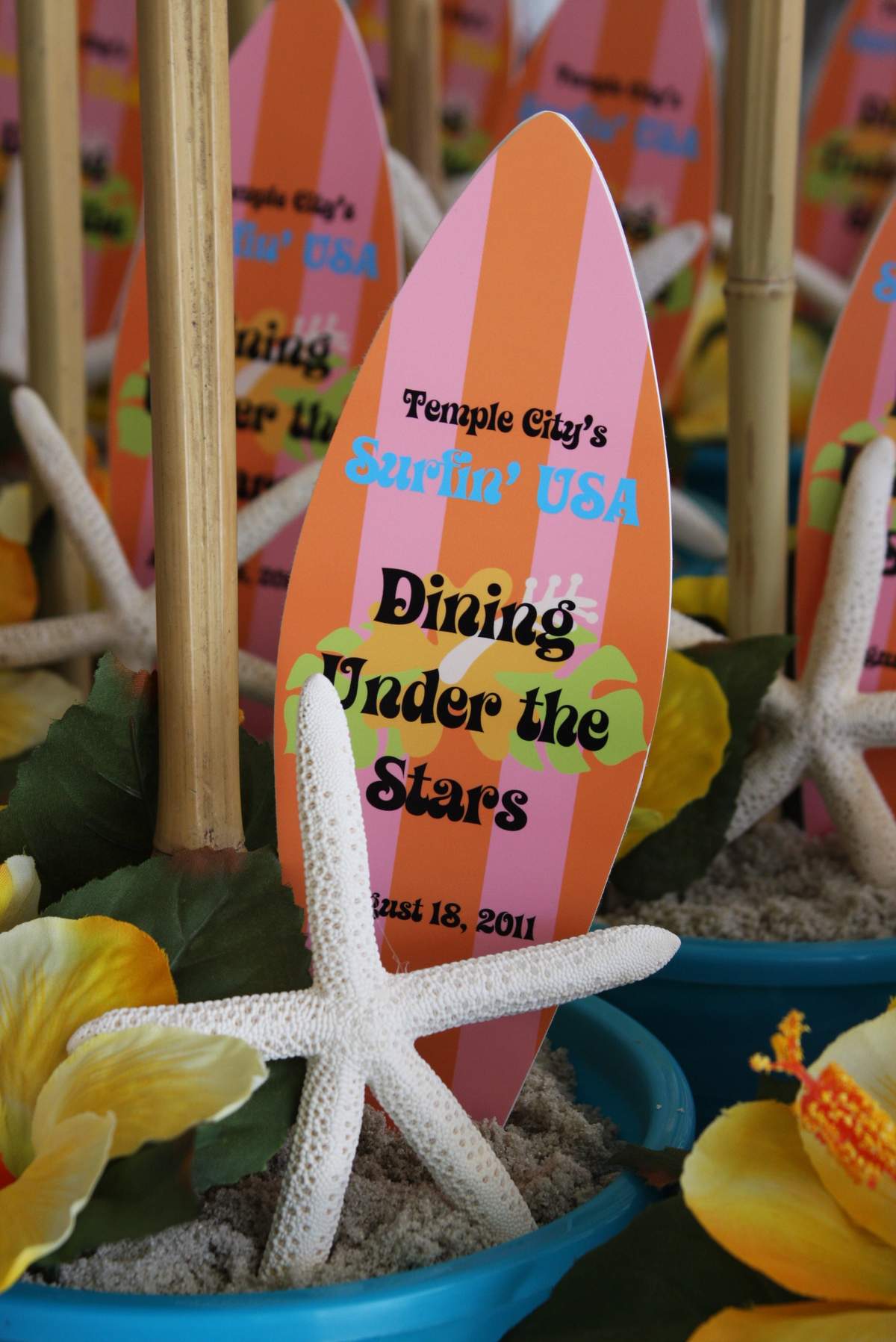 Dining Under the Stars 2011 - Surfin' USA