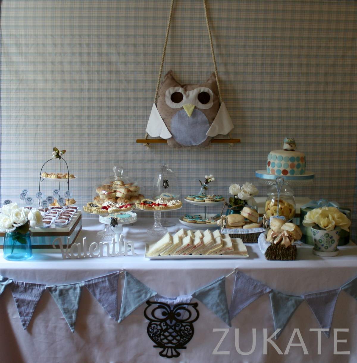 Baby shower for Valentín - Baby owl baby shower
