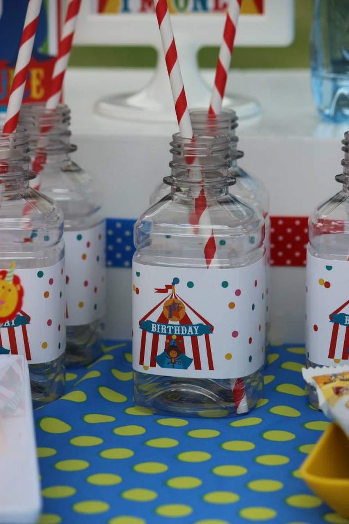 First Birthday Party! - Circus / Carnival