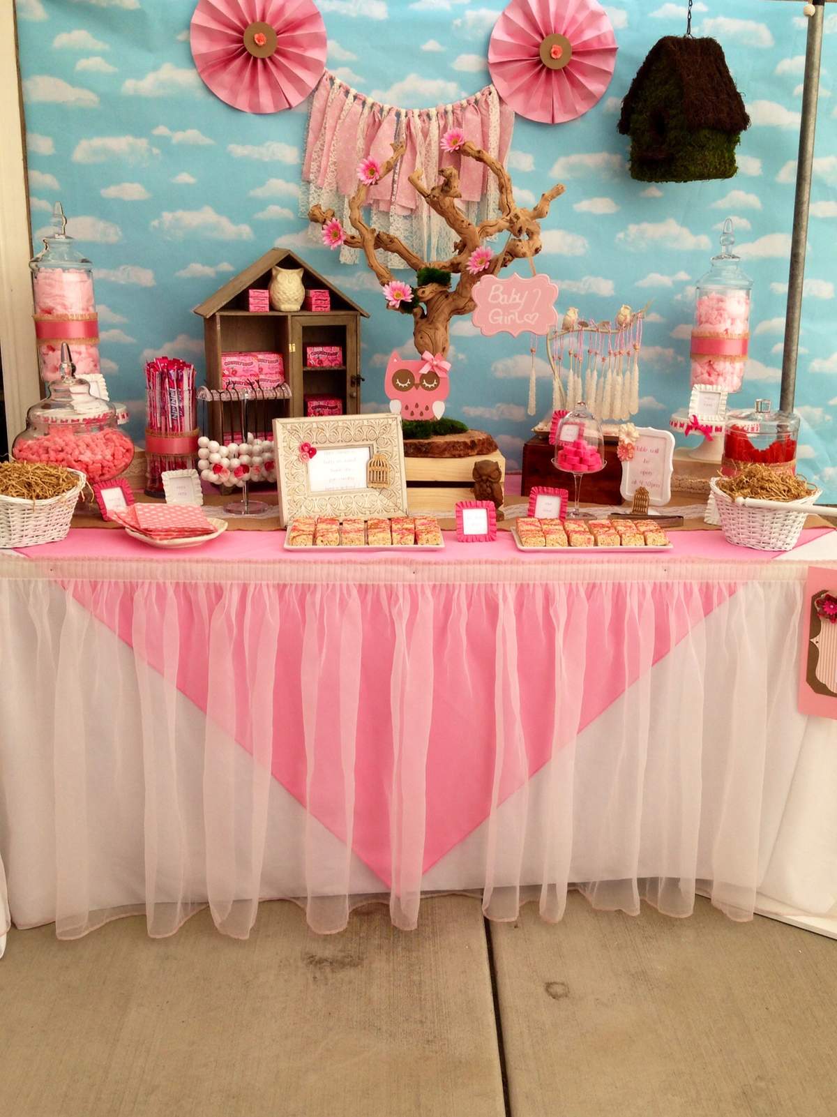 Owl baby shower - Owls